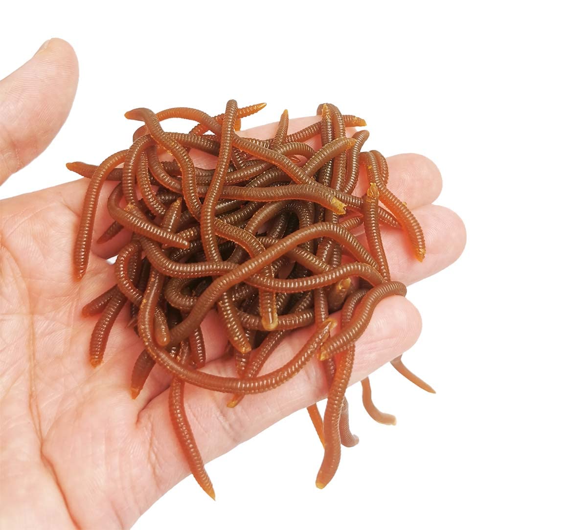 1.6in/3.3/3.9in Fishing Soft Lure Trout Worm Earthworm Bait Lifelike Fake Bloodworm Grub Worm Soft Fishing Lure Baits