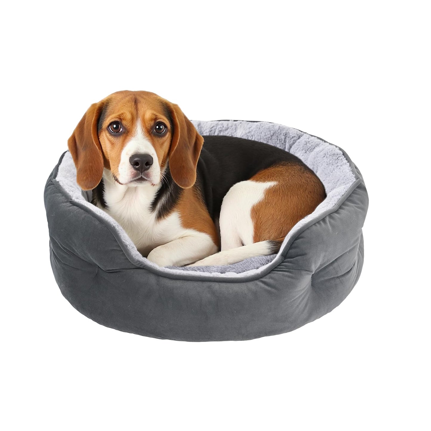 Amazon Basics Round Dog Bed for Medium Dogs, Cat Beds for Indoor Cats, Washable Pet Bed with Soft Plush Cushion, Anti-Slip Bottom, 30x24x8 Inches, Gray