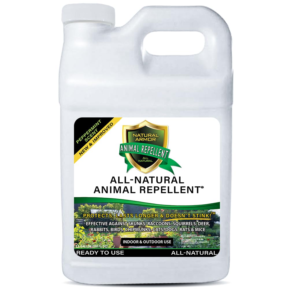 Natural Armor Animal & Rodent Repellent Spray. Repels Skunks, Raccoons, Rats, Mice, Deer Rodents & Critters. Repeller & Deterrent in Powerful Peppermint Formula – 128 Fl Oz Gallon Ready to Use