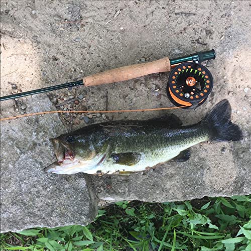 Kylebooker Floating 100FT Fly Fishing Line Weight Forward Design with Welded Loop (3F,4F,5F,6F,7F,8F)