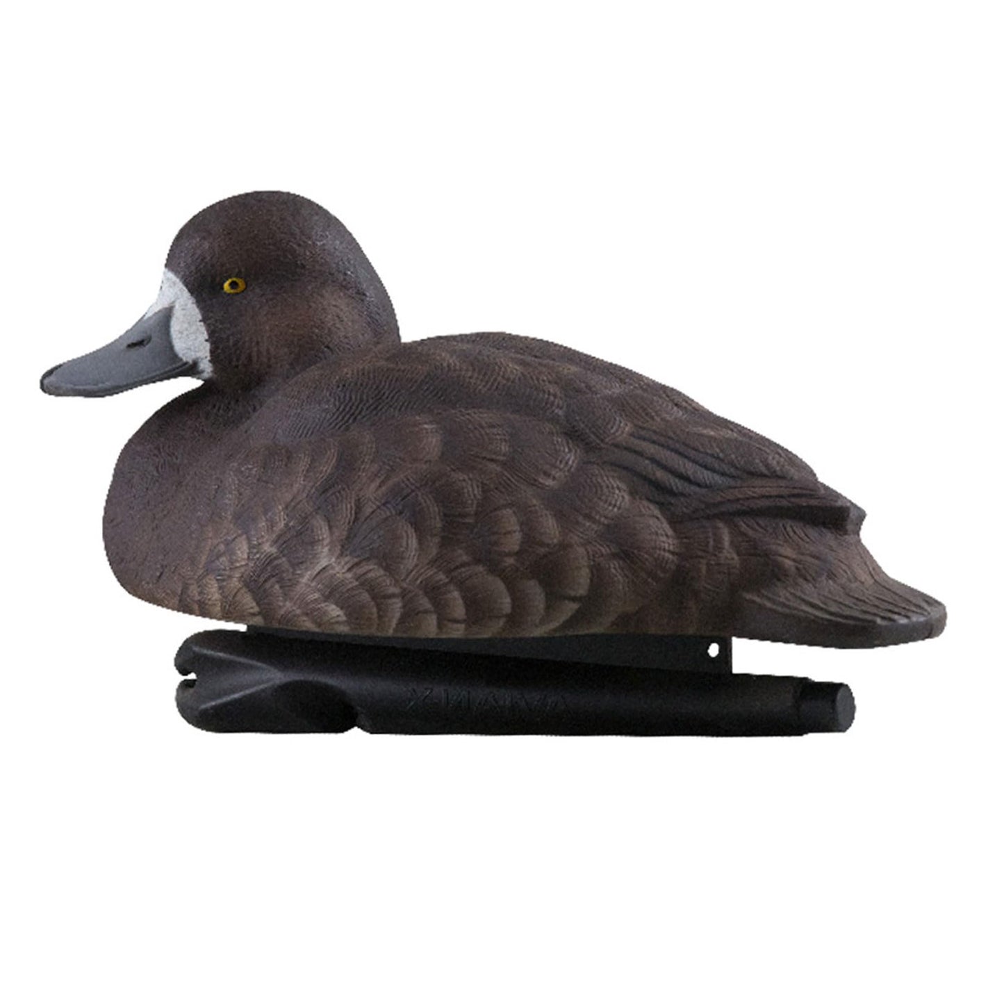 Avian-X Topflight Blue Bills Decoy Set Realistic Duck Decoys with Weight Forward Swim Keel, Greater and Lesser Blue Bills