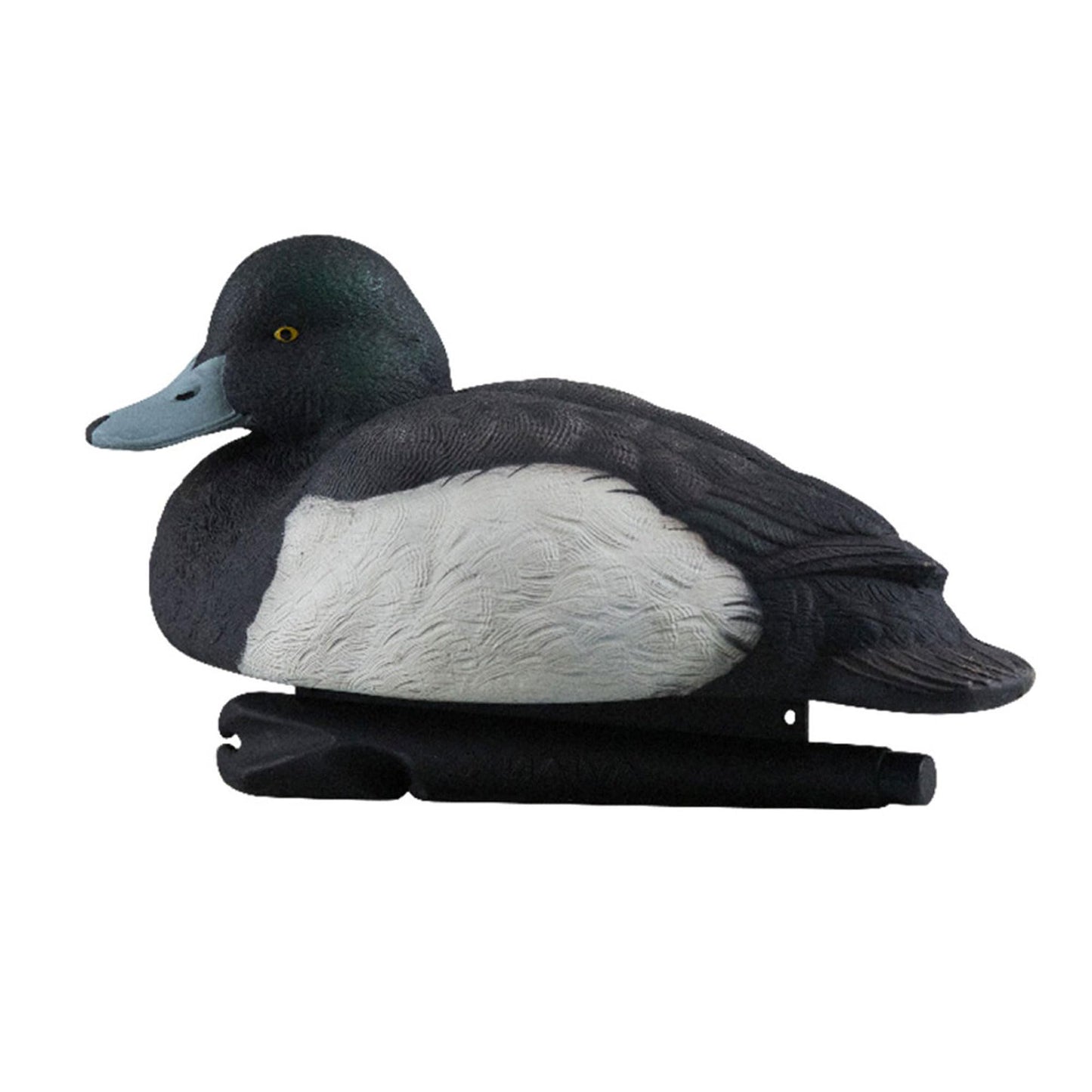 Avian-X Topflight Blue Bills Decoy Set Realistic Duck Decoys with Weight Forward Swim Keel, Greater and Lesser Blue Bills
