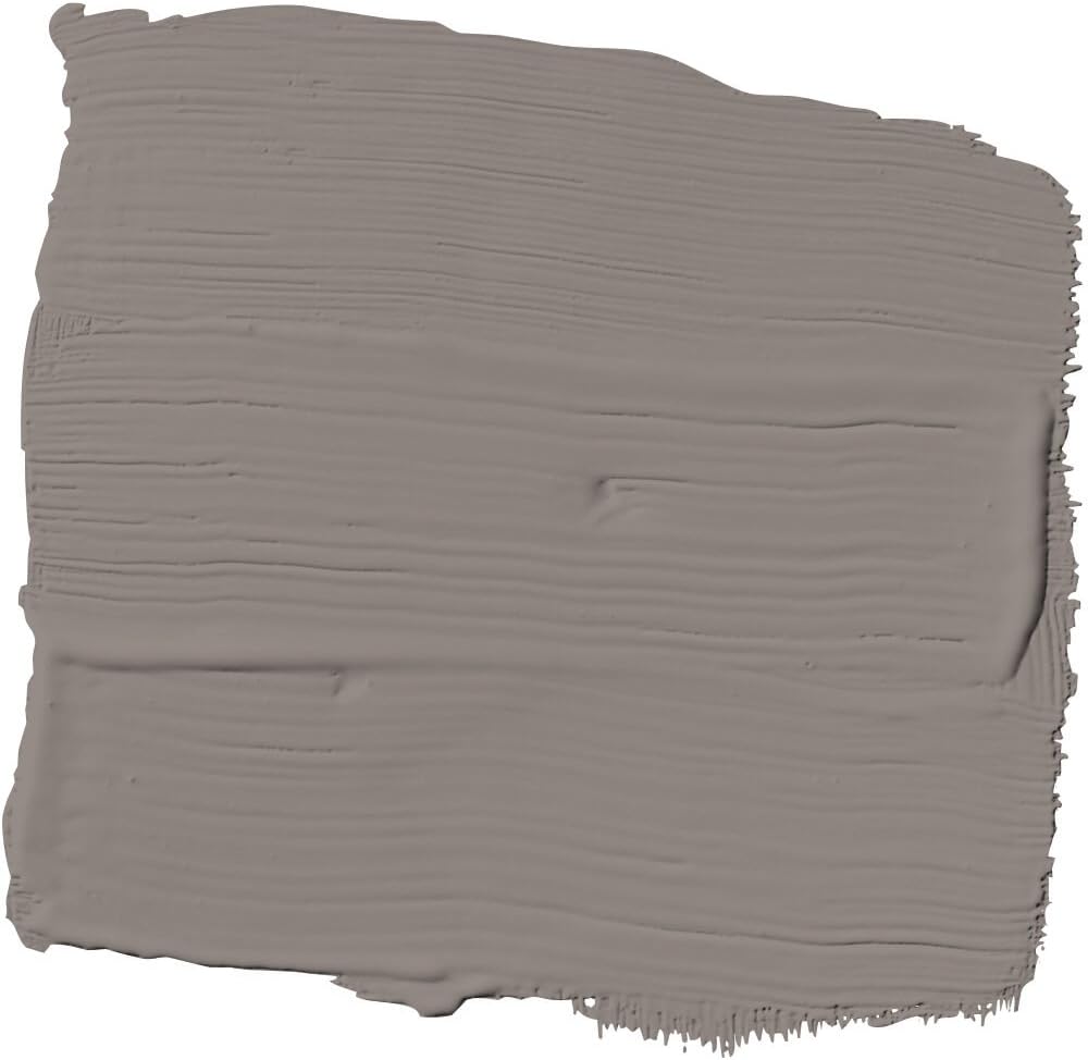 Glidden Exterior Paint + Primer: Black/Black Magic, One Coat, Satin, 1-Gallon