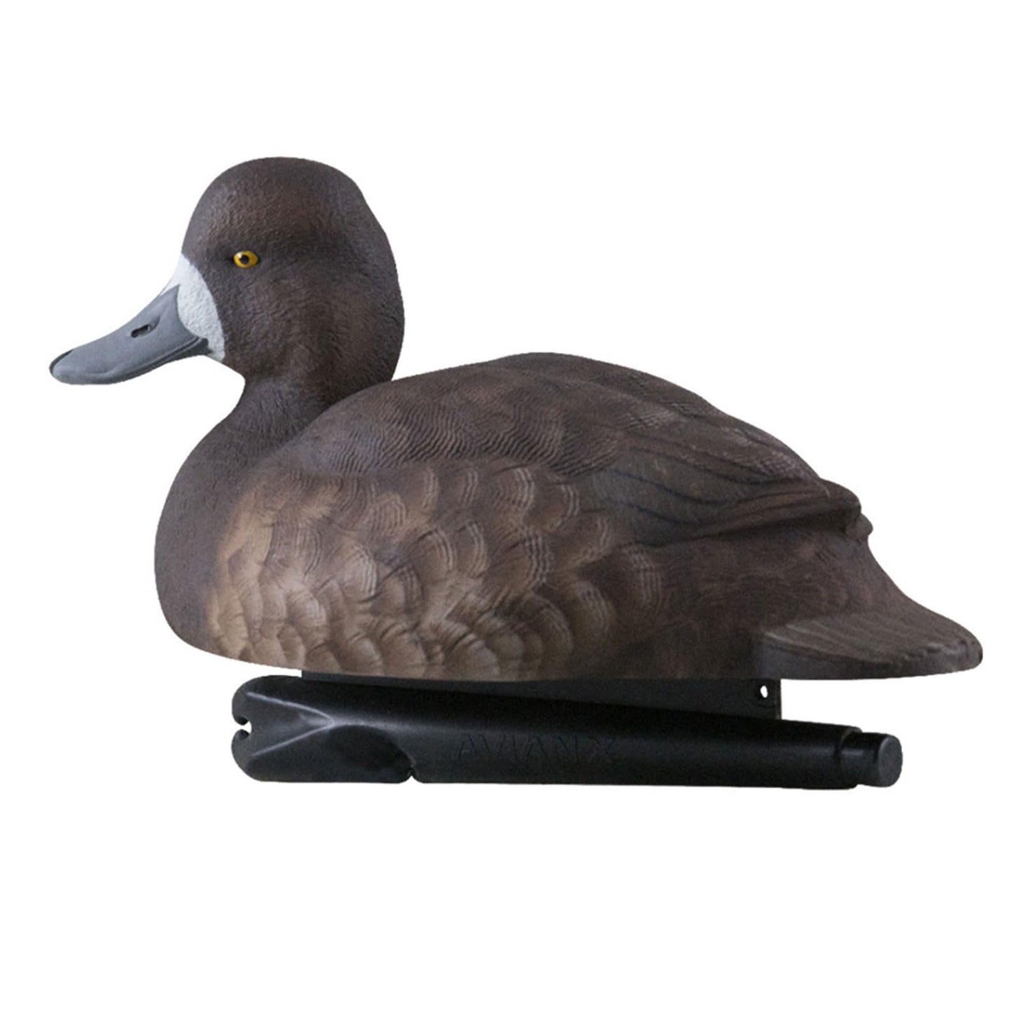 Avian-X Topflight Blue Bills Decoy Set Realistic Duck Decoys with Weight Forward Swim Keel, Greater and Lesser Blue Bills