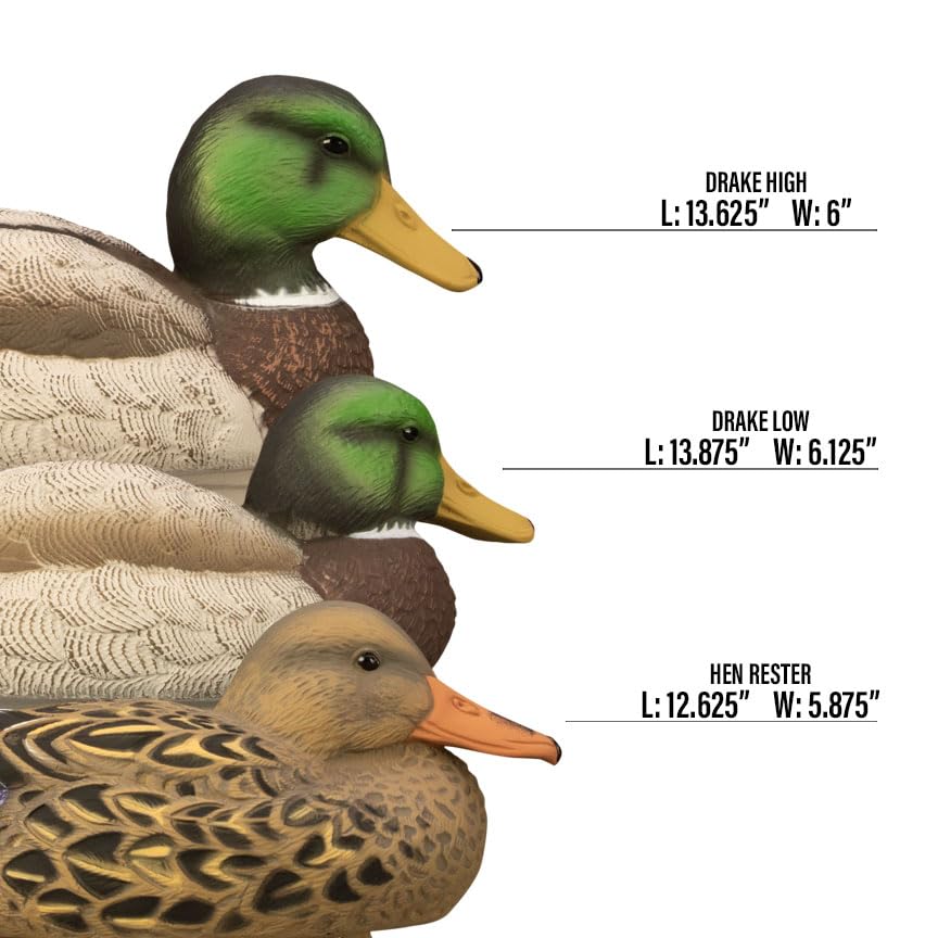 Higdon Outdoors Standard Mallard Duck Decoys | Ultra Realistic Drake & Hen Decoys for Waterfowl Hunting | Foam-Filled & Non-Foam-Filled | 12pk & 6pk Available