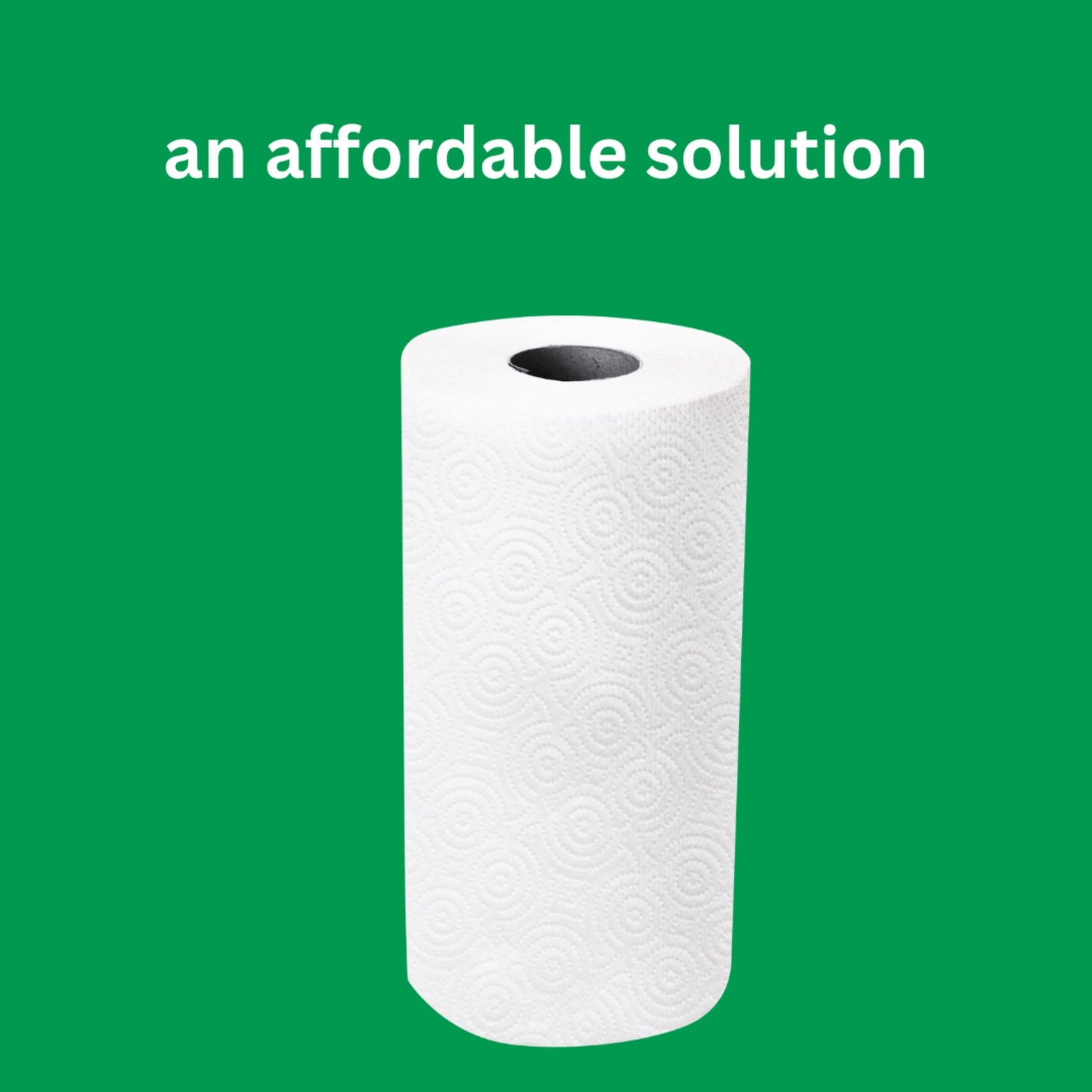Amazon Basics 2-Ply Flex-Sheets Paper Towels, 12 Basics Rolls = 40 Regular Rolls, Everyday Value with 150 Sheets per Roll, Packaging May Vary