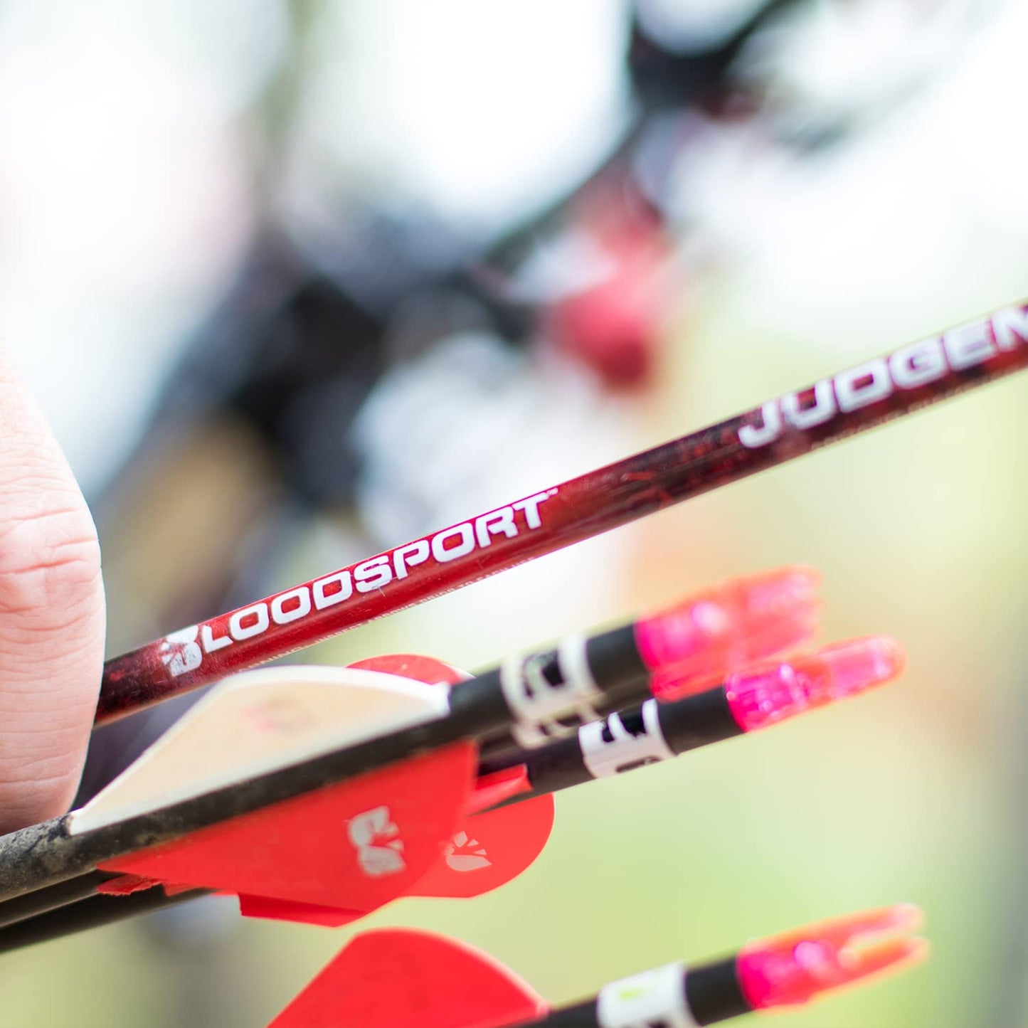 BLOODSPORT Standard Diameter Arrows