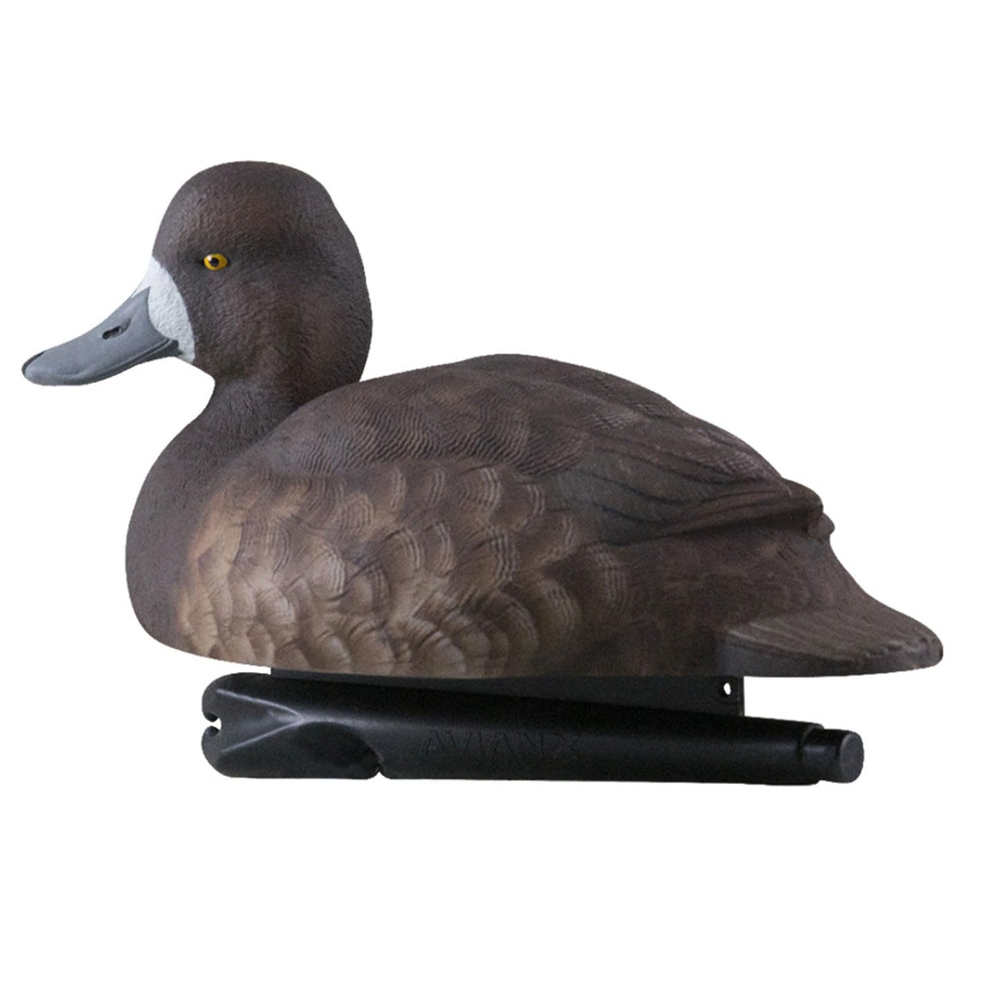 Avian-X Topflight Blue Bills Decoy Set Realistic Duck Decoys with Weight Forward Swim Keel, Greater and Lesser Blue Bills