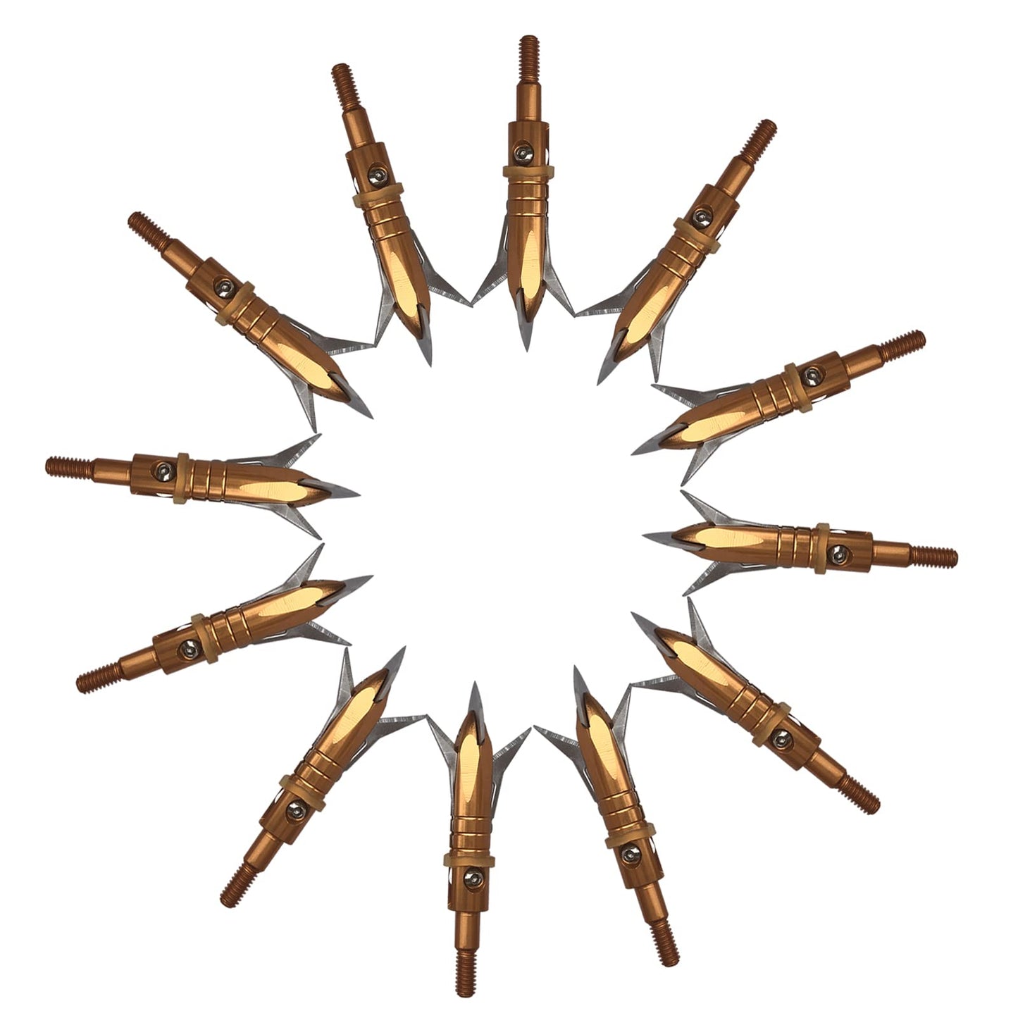 12pcs Hunting Broadheads 100 Grain Archery Broadheads New Stell Broadheads + 1 pcs Black Broadhead Case for Arrowheads