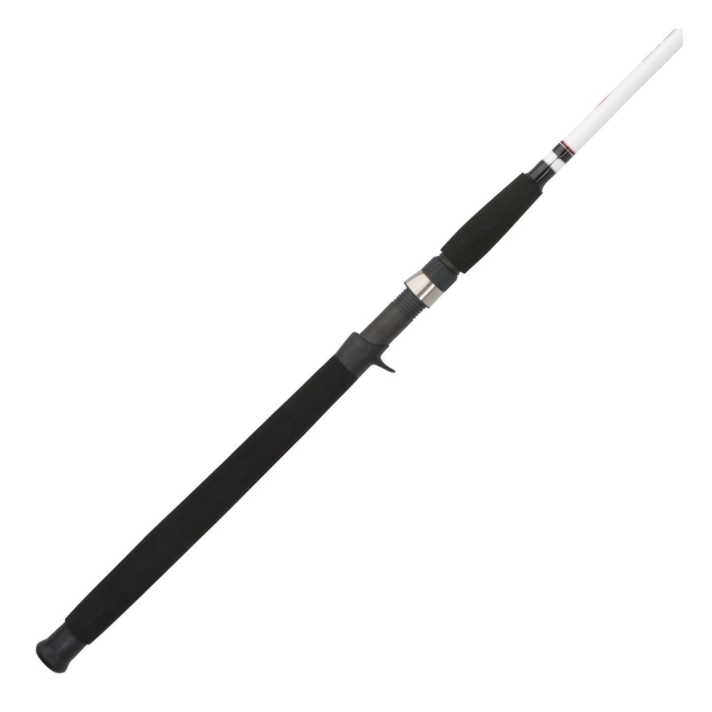 Berkley Big Game Casting Fishing Rod