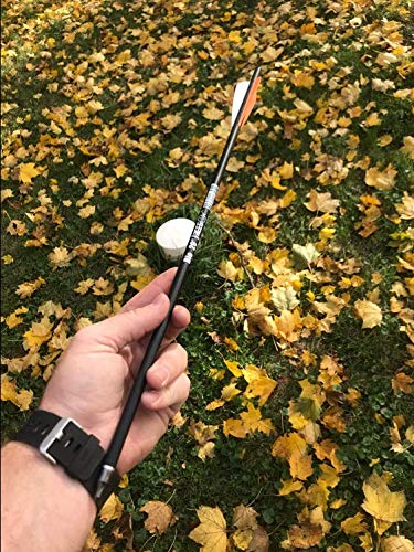 REEGOX Crossbow Bolts 16/18/20 inch Bio Crossbow Arrows with Moon Nocks and Removable Tips (Pack of 12)