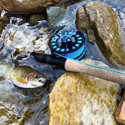 Kylebooker Floating 100FT Fly Fishing Line Weight Forward Design with Welded Loop (3F,4F,5F,6F,7F,8F)