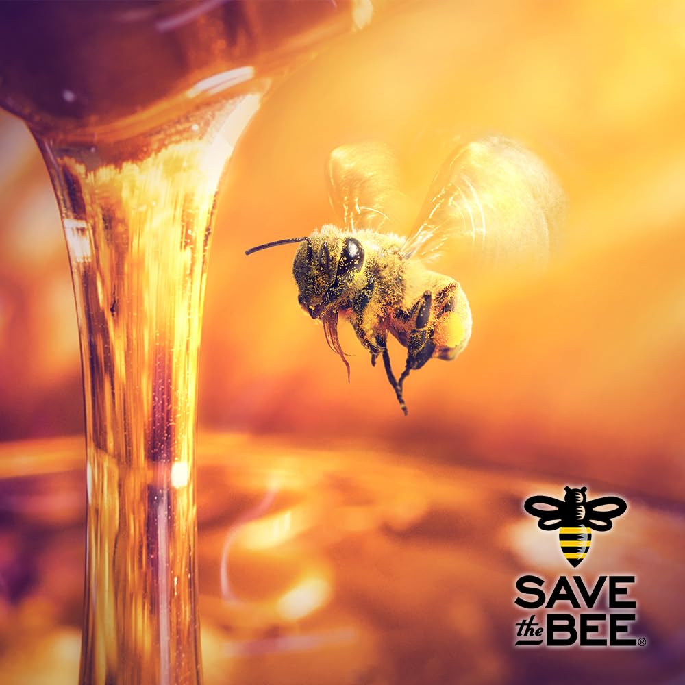GloryBee, Pure Clover Blend Honey, 100% US Grade A Honey, 5lb