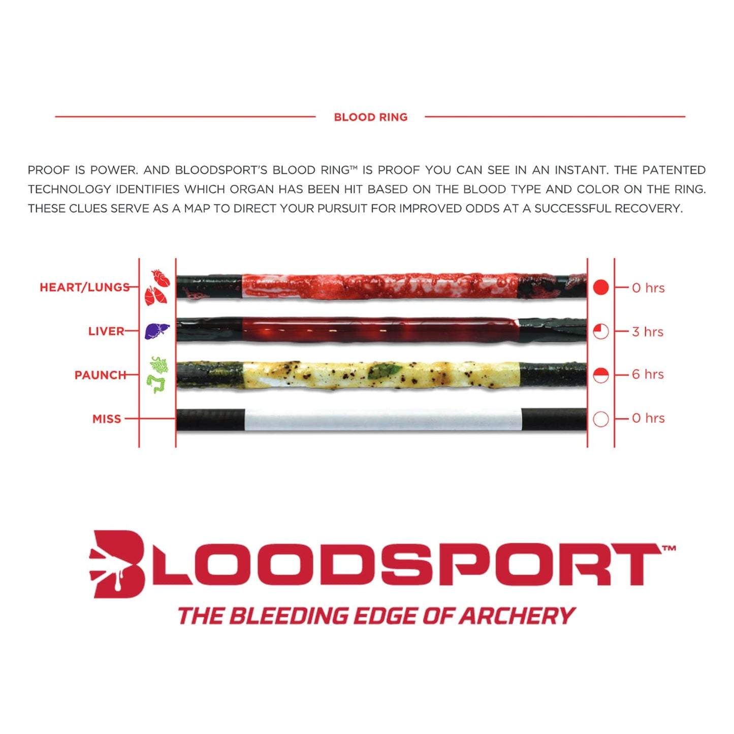 BLOODSPORT Standard Diameter Arrows