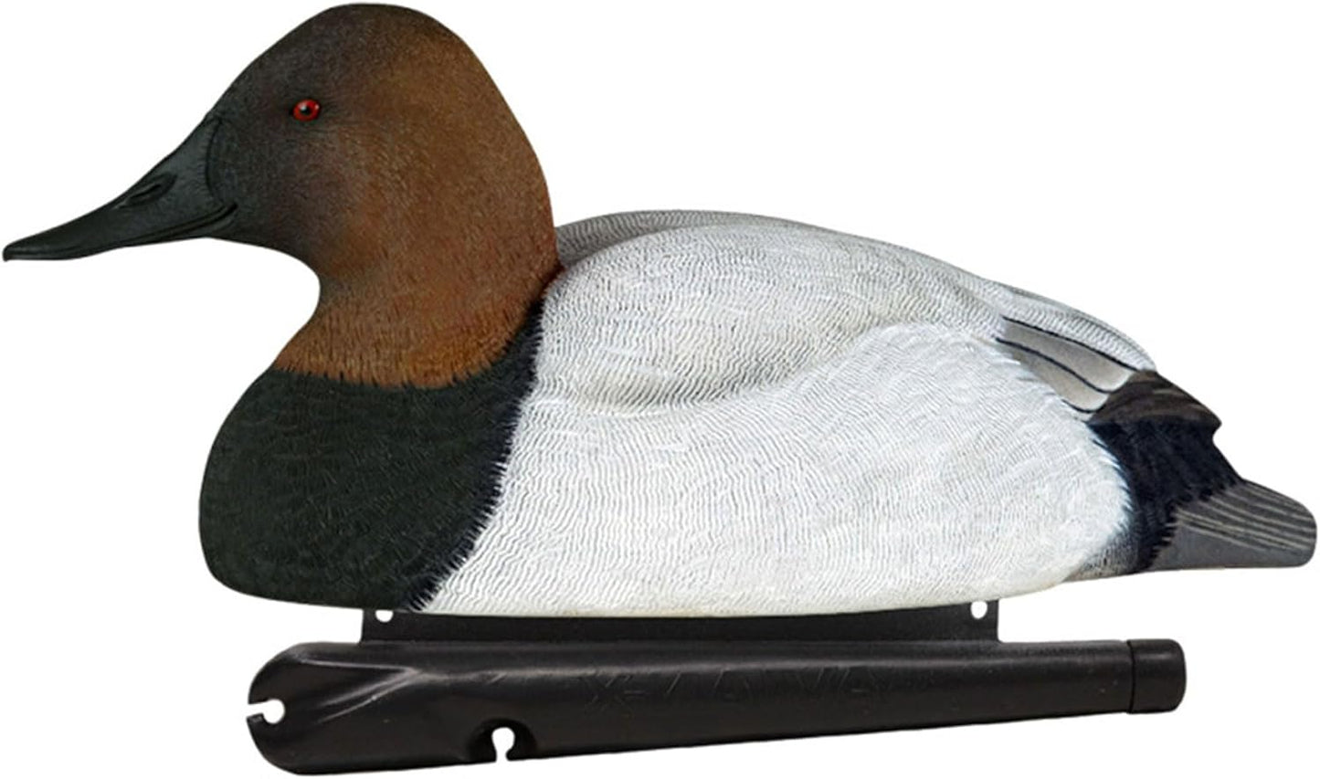 Avian-X Topflight Blue Bills Duck Decoys with Weight Forward Swim Keel Bundled with Topflight Canvasbacks Decoys, Realistic Gray Ducks