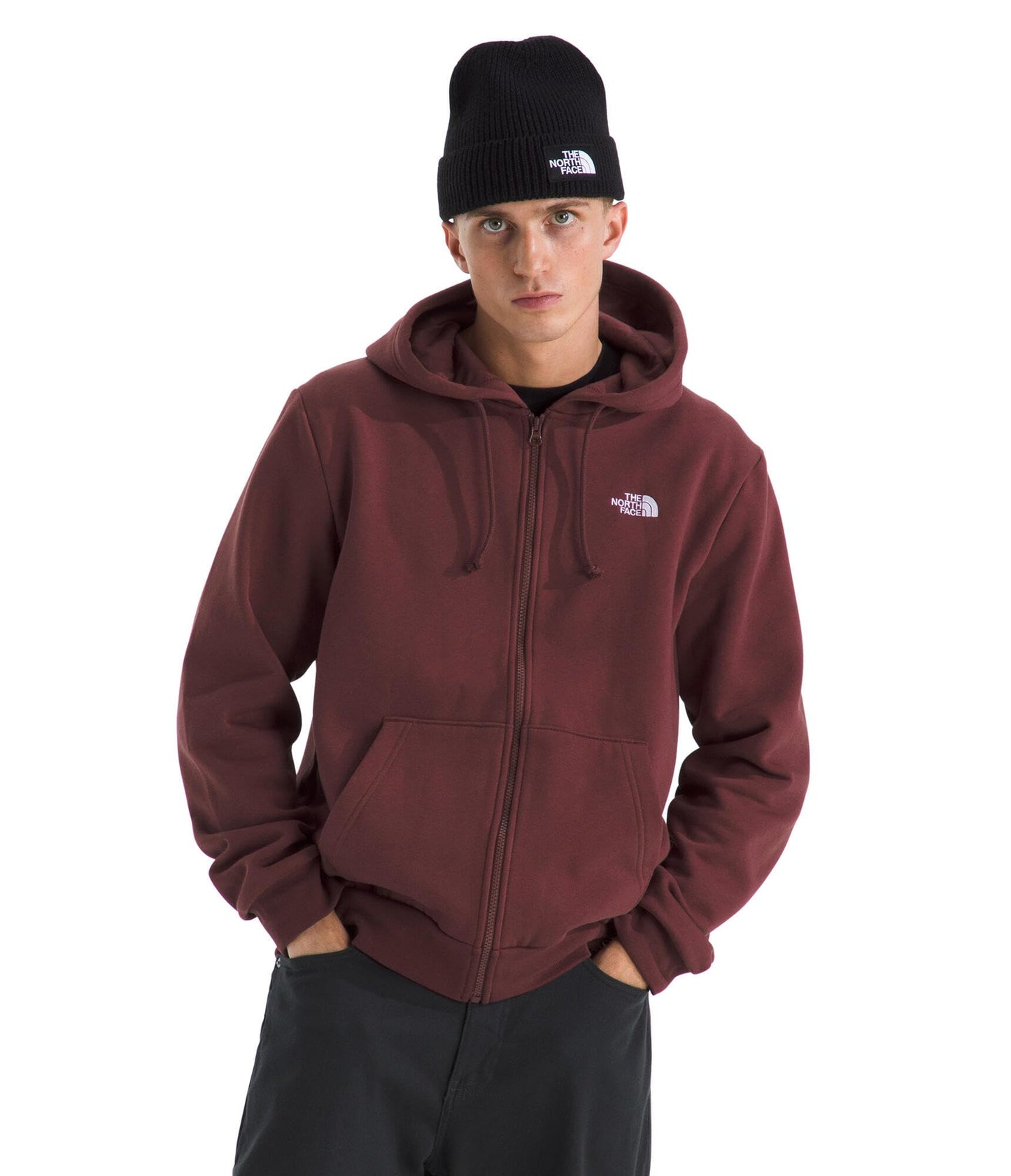 THE NORTH FACE Men's Evolution Simple Dome Full Zip Hoodie | 2 Piece Hood With Adjustable Drawcord, Classic Logo