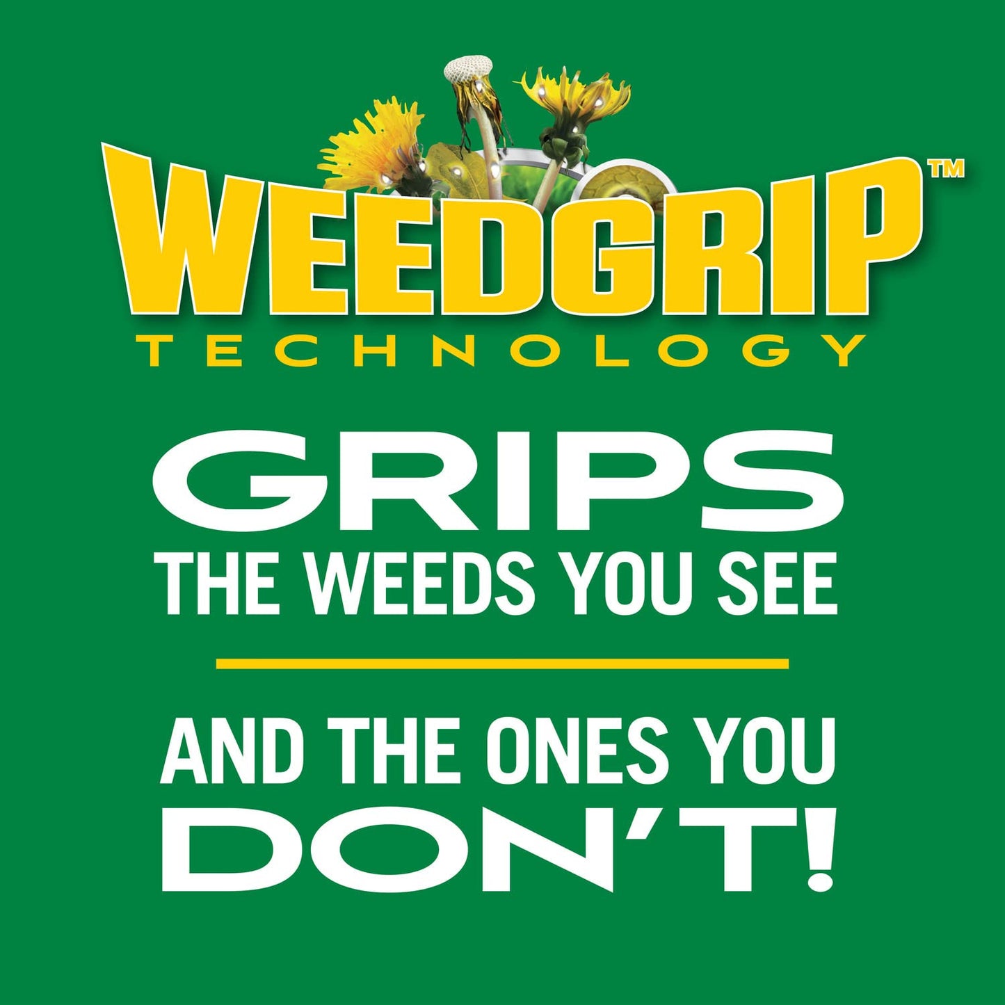 Scotts Turf Builder Weed and Feed3 - Weed Killer Plus Lawn Fertilizer, Controls Dandelion and Clover, Grass Fertilizer For Up To 5,000 sq. ft., 14.29 lbs.