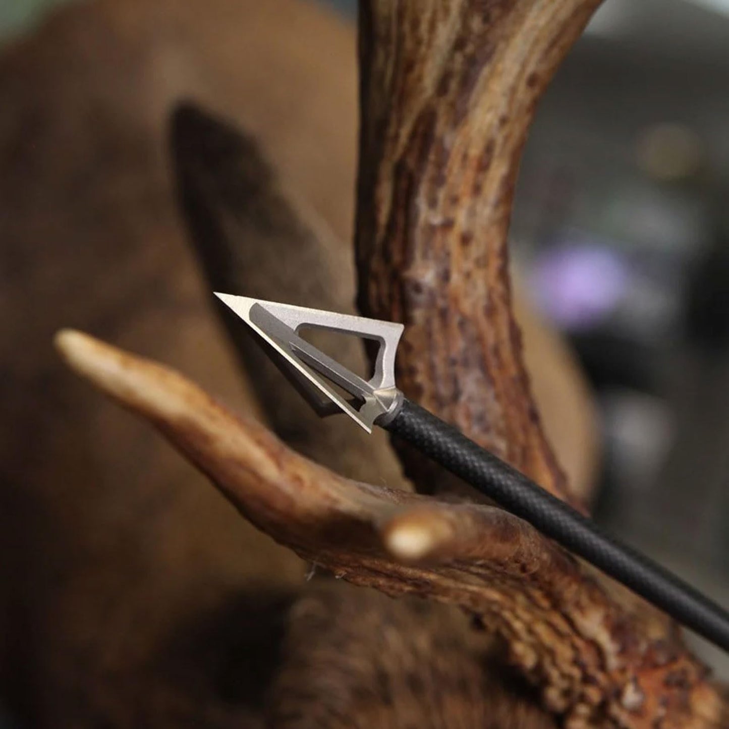 G5 Montec Archery Hunting Durable Sharp Fixed Blades Steel 1-Piece Construction Screw-in Broadheads for Bow Arrows - Pack of 3
