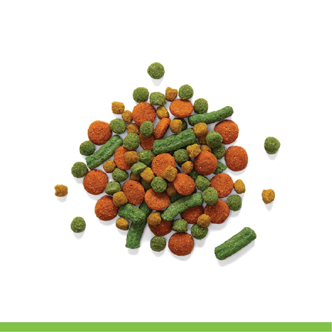 ZuPreem Smart Selects Bird Food, Daily Nutrition for Parrots, Conures, Caiques, African Greys, Eclectus, Small Cockatoos, Bird Feed Pellets & Seed Blend, Parrot Food, (Medium/Large, 4 lb bag)