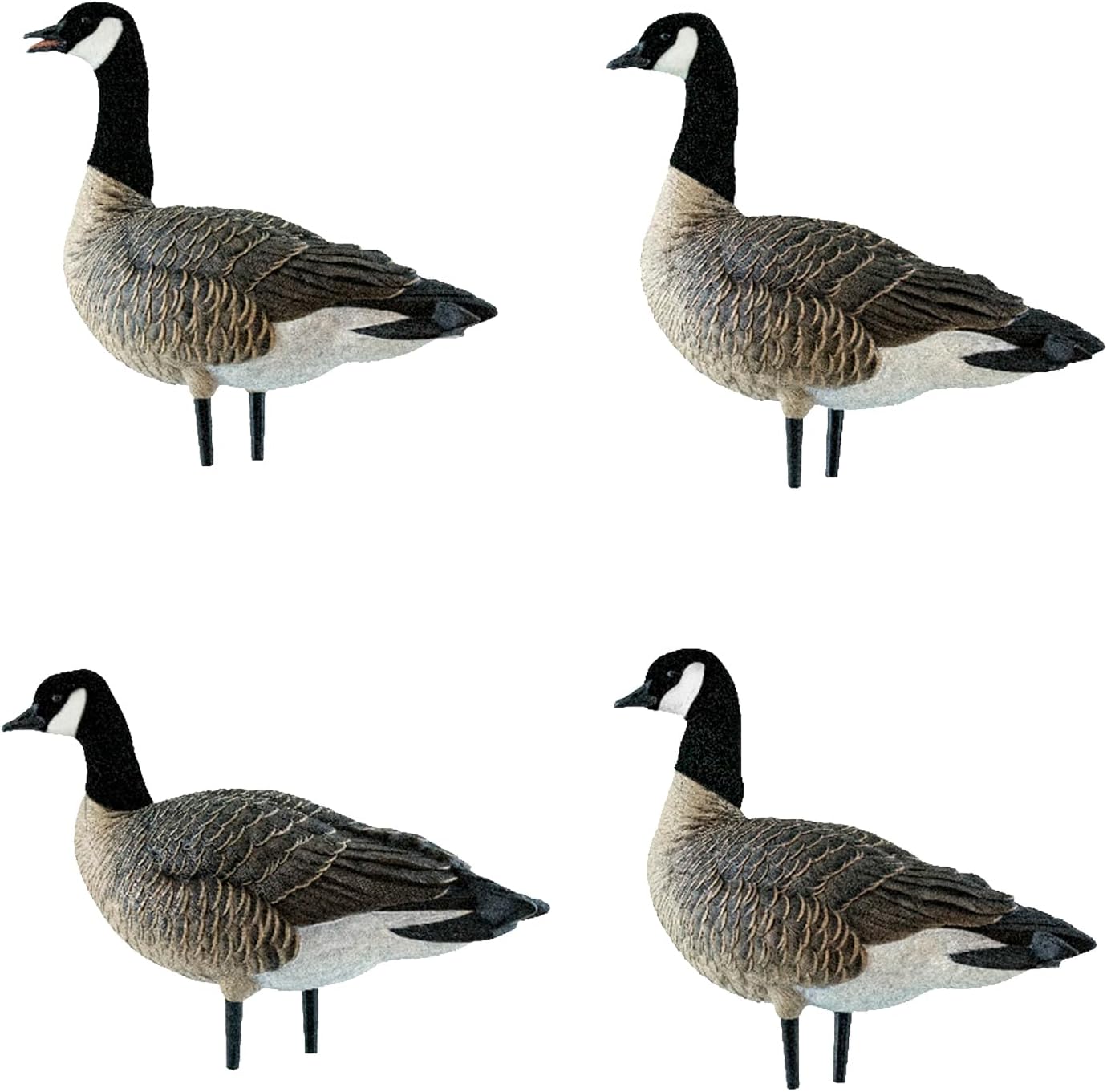 Avian X AXP Lessers Outfitter Pack, 12 Full Body Canada Goose Decoys, Oversized, Flocked Heads, 12 Stakes, Incudes 12-Slot Bag