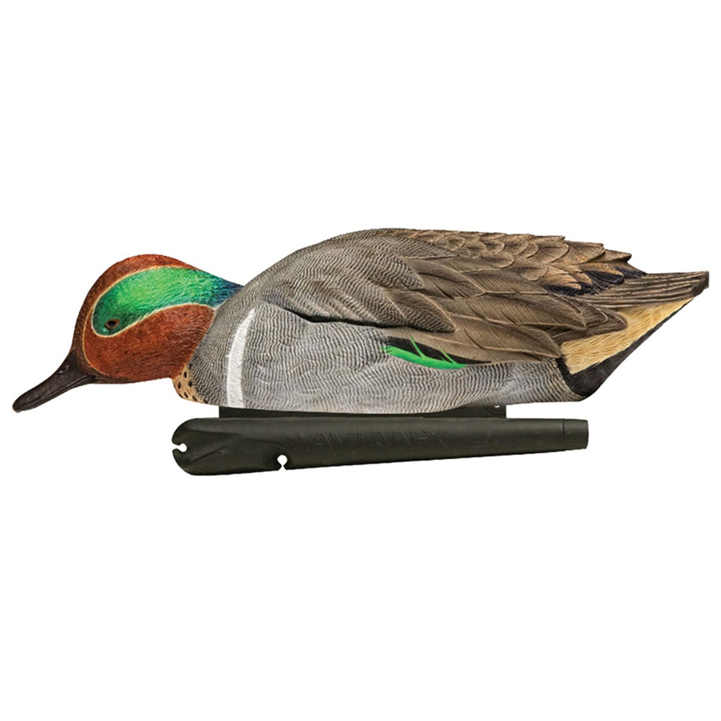 Avian X Topflight Green-Winged Teal Decoys, Realistic Floating Duck Decoys for Hunting, Weight-Forward Swim Keel