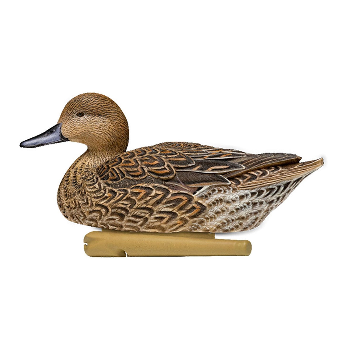 Avian X Topflight Pintail Decoys, Rugged Realistic Floating Duck Decoys for Hunting, Weight-Forward Swim Keel