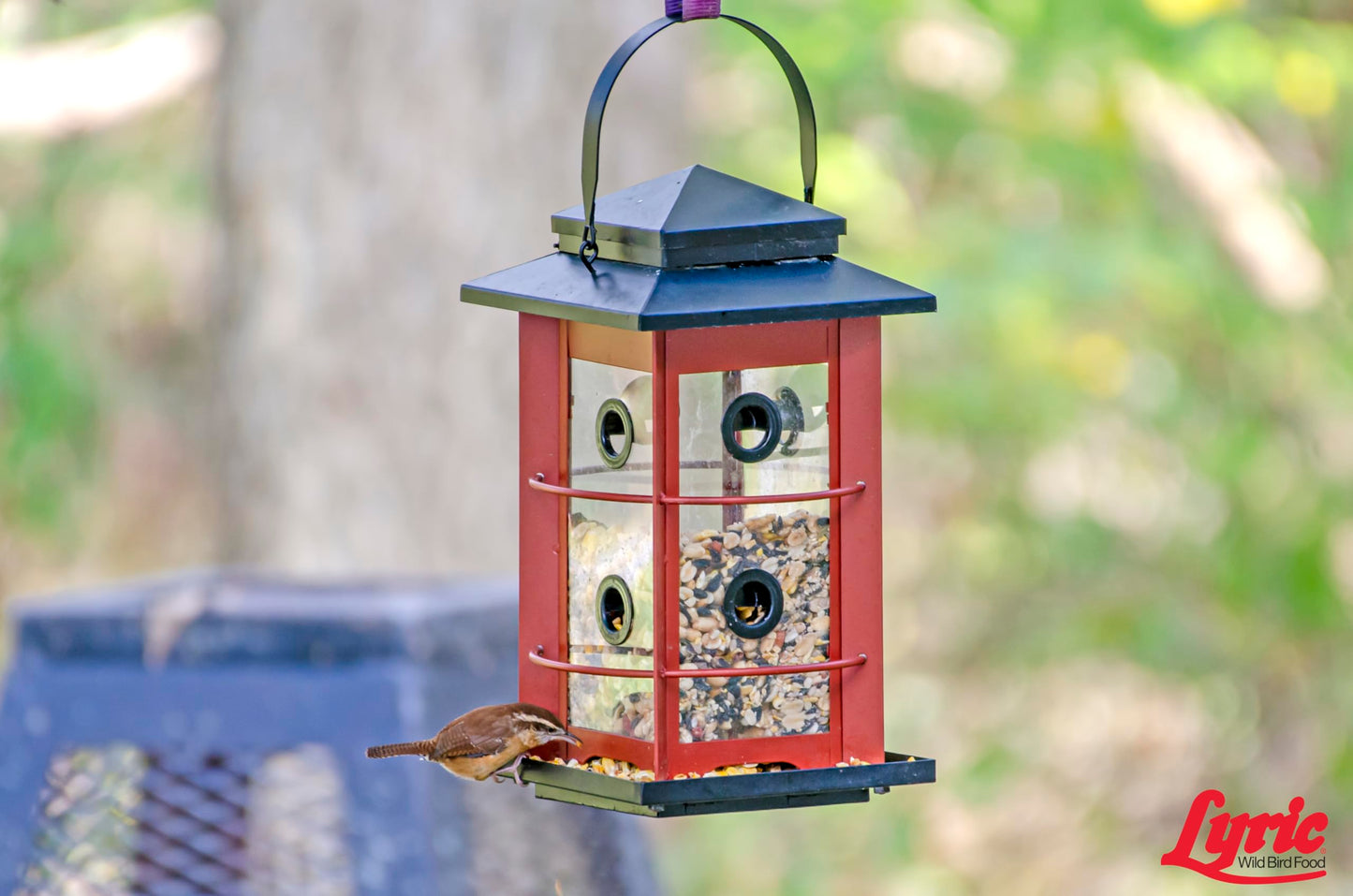 Lyric Fruit and Nut Wild Bird Seed - High Energy Wild Bird Food Mix - Attracts Woodpeckers, Chickadees & Other Songbirds - 20 lb bag