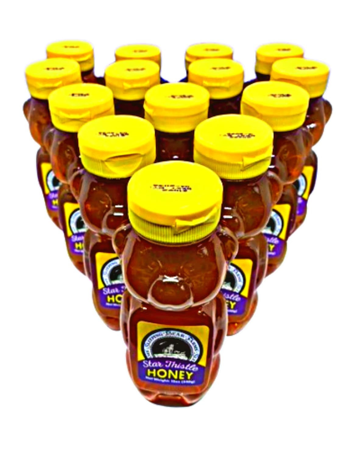 Star Thistle Honey Bear - Pure Michigan Honey, Unpasteurized, Unblended, No Additives - 12oz