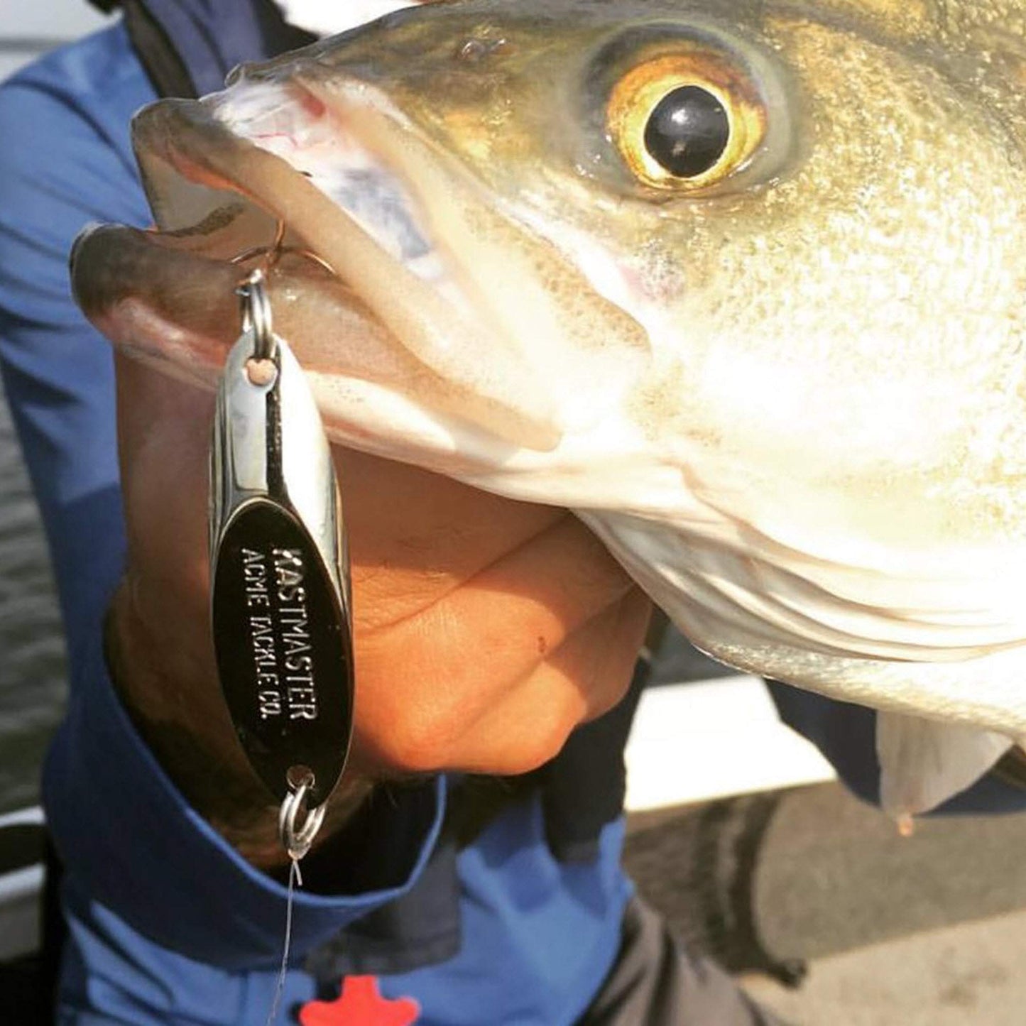 Acme Kastmaster Lure Great Selection