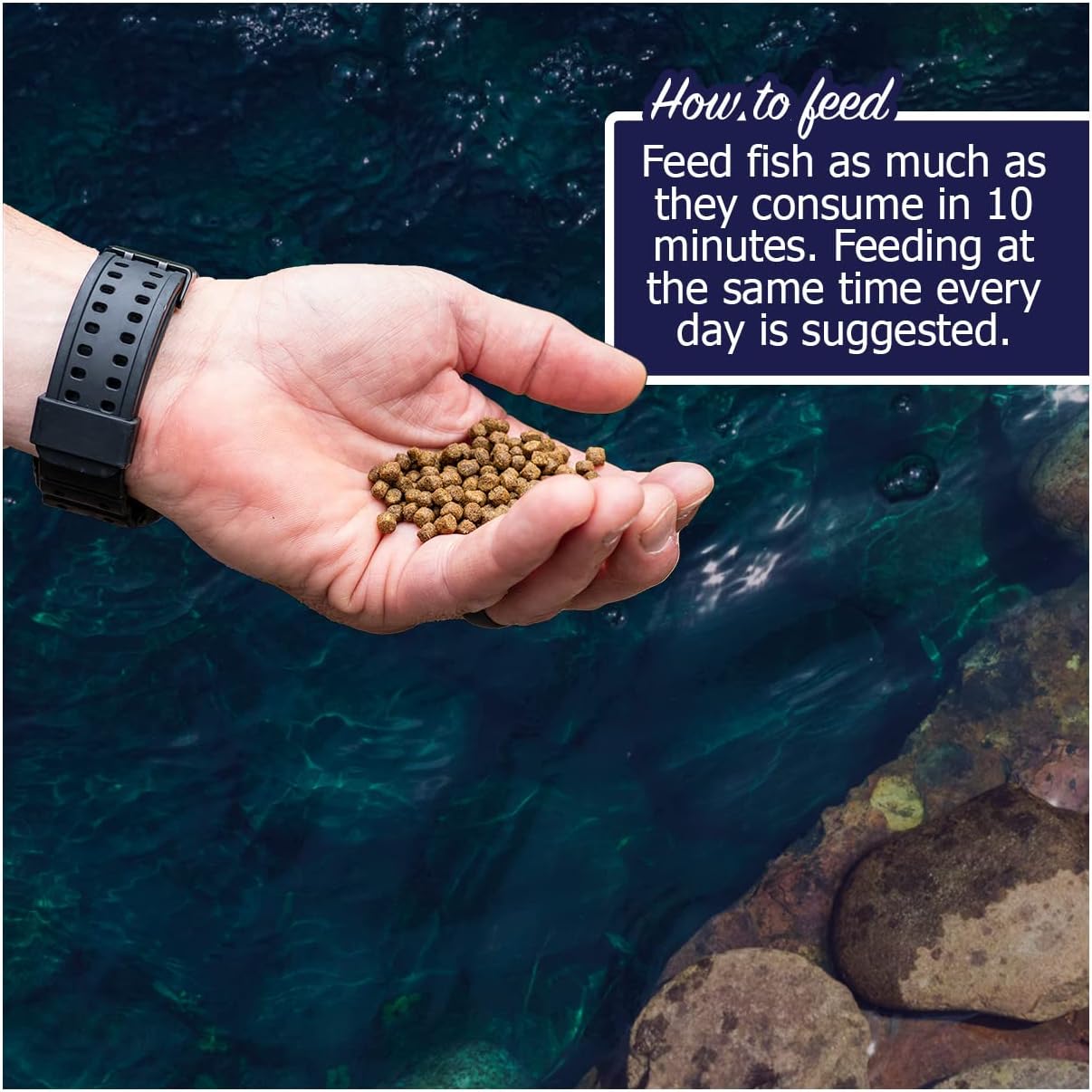Natural Waterscapes Game Fish Food Variety | Pond and Lake Fish Food Pellets | 7 lb Resealable Bag | Feed to Bass, Bluegill, Trout | Floating Pellets