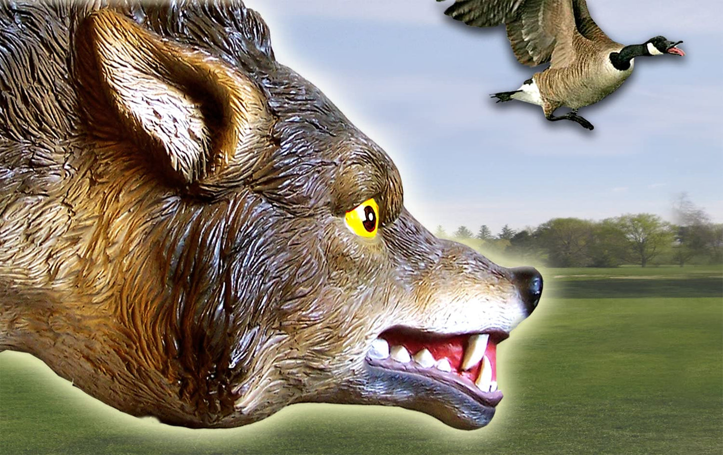 Bird-X 3D Coyote Decoy, Lifelike Predator Replica, Coyote Decoy with Moving Tail and Realistic Markings, Easy to Install, Covers up to 1 Acre of Land, 32"x8"x30"
