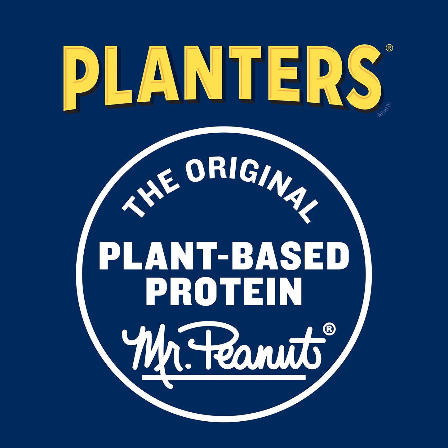 PLANTERS Deluxe Lightly Salted Cashews, Party Snacks, Plant-Based Protein, Quick Snack for Adults, After School Snack, Flavored with Sea Salt, Kosher, 1lb 2.25oz