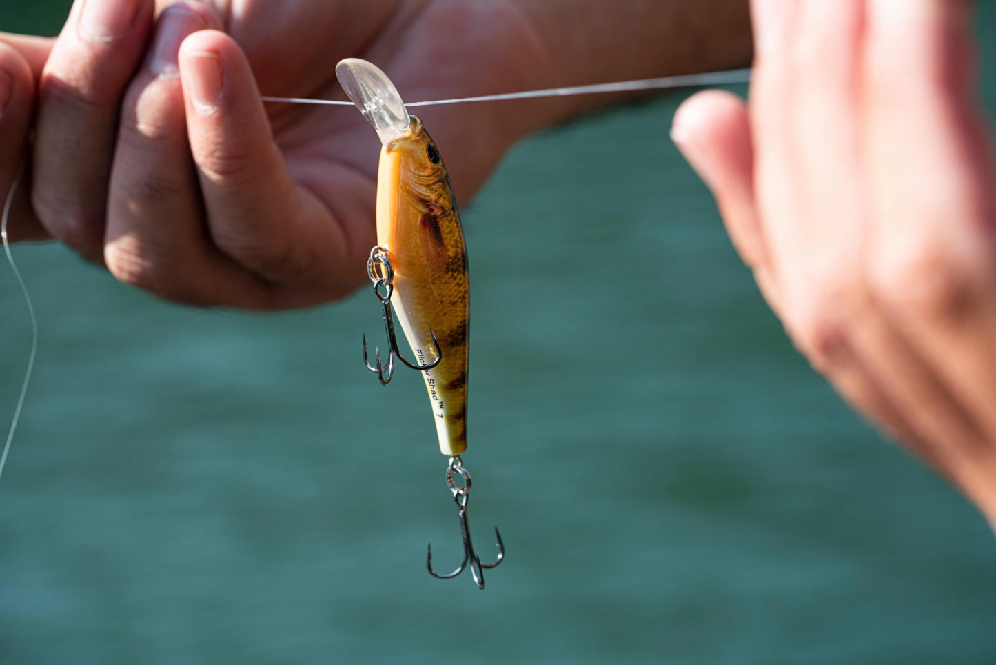 Berkley Flicker Shad Shallow Fishing Lure, HD Bluegill, 1/6 oz, 2in | 5cm Crankbaits, Size, Profile and Dive Depth Imitates Real Shad, Equipped with Fusion19 Hook