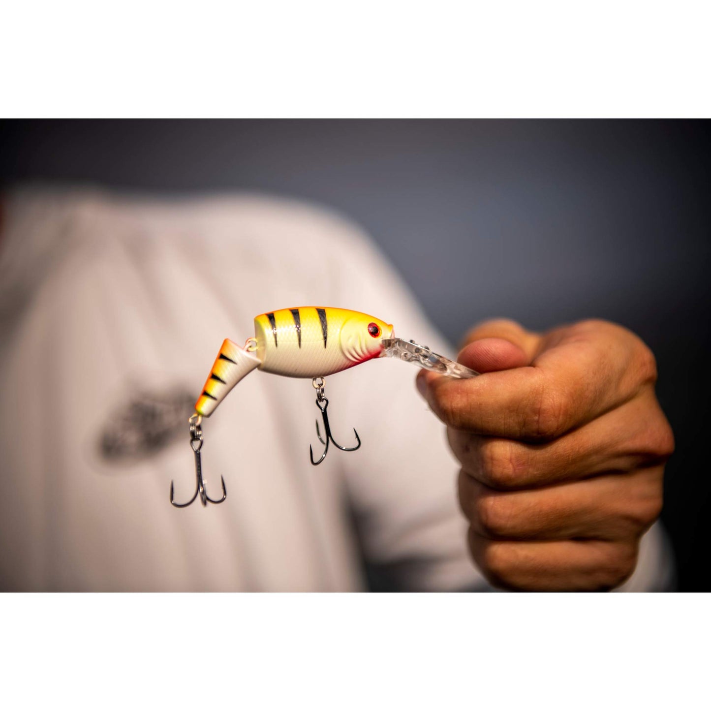 Berkley Flicker Shad Jointed Crankbait, 2 Pack, Red Tiger, 1/3 oz, 2 3/4in, 7'-9' Dive Depth