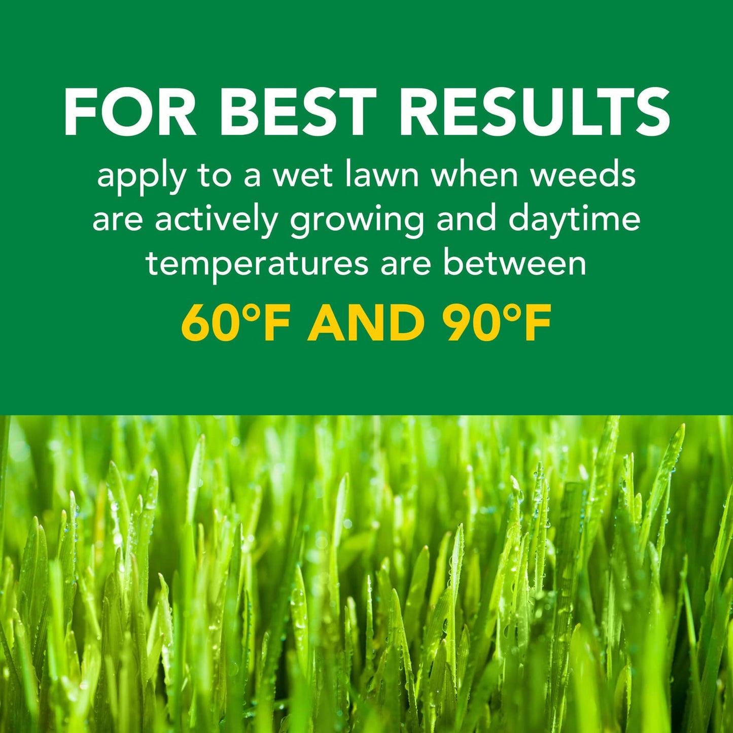 Scotts Turf Builder Weed and Feed3 - Weed Killer Plus Lawn Fertilizer, Controls Dandelion and Clover, Grass Fertilizer For Up To 5,000 sq. ft., 14.29 lbs.