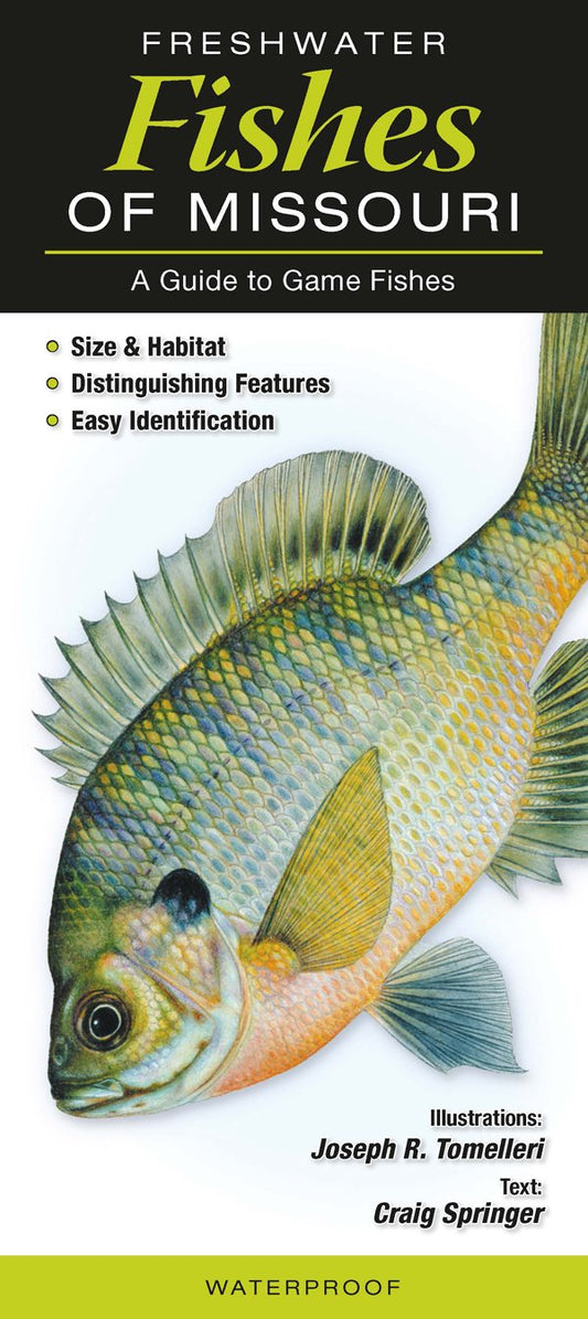 Freshwater Fishes of Missouri: A Guide to Game Fishes
