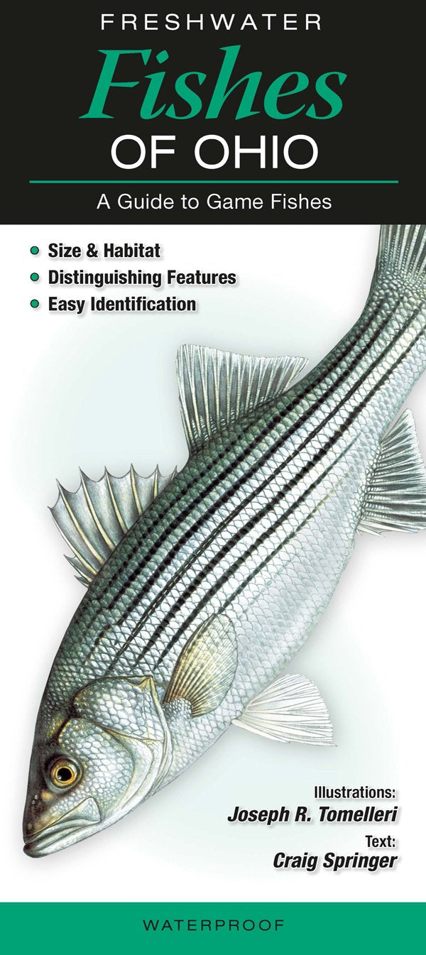 Freshwater Fishes of Ohio