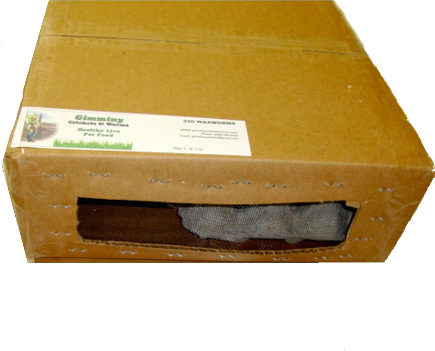 250ct Live Waxworms, Pet Food, Fishing