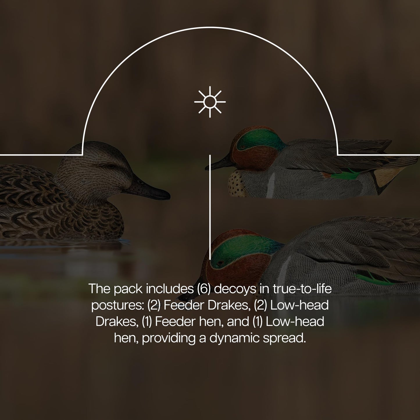 Avian X Topflight Green-Winged Teal Decoys, Realistic Floating Duck Decoys for Hunting, Weight-Forward Swim Keel