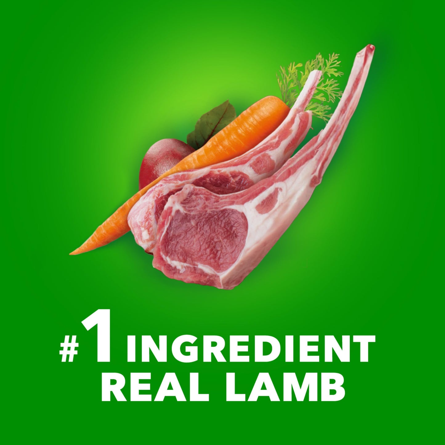 IAMS Proactive Health Large Breed Adult Dry Dog Food with Real Chicken, 30 lb. Bag