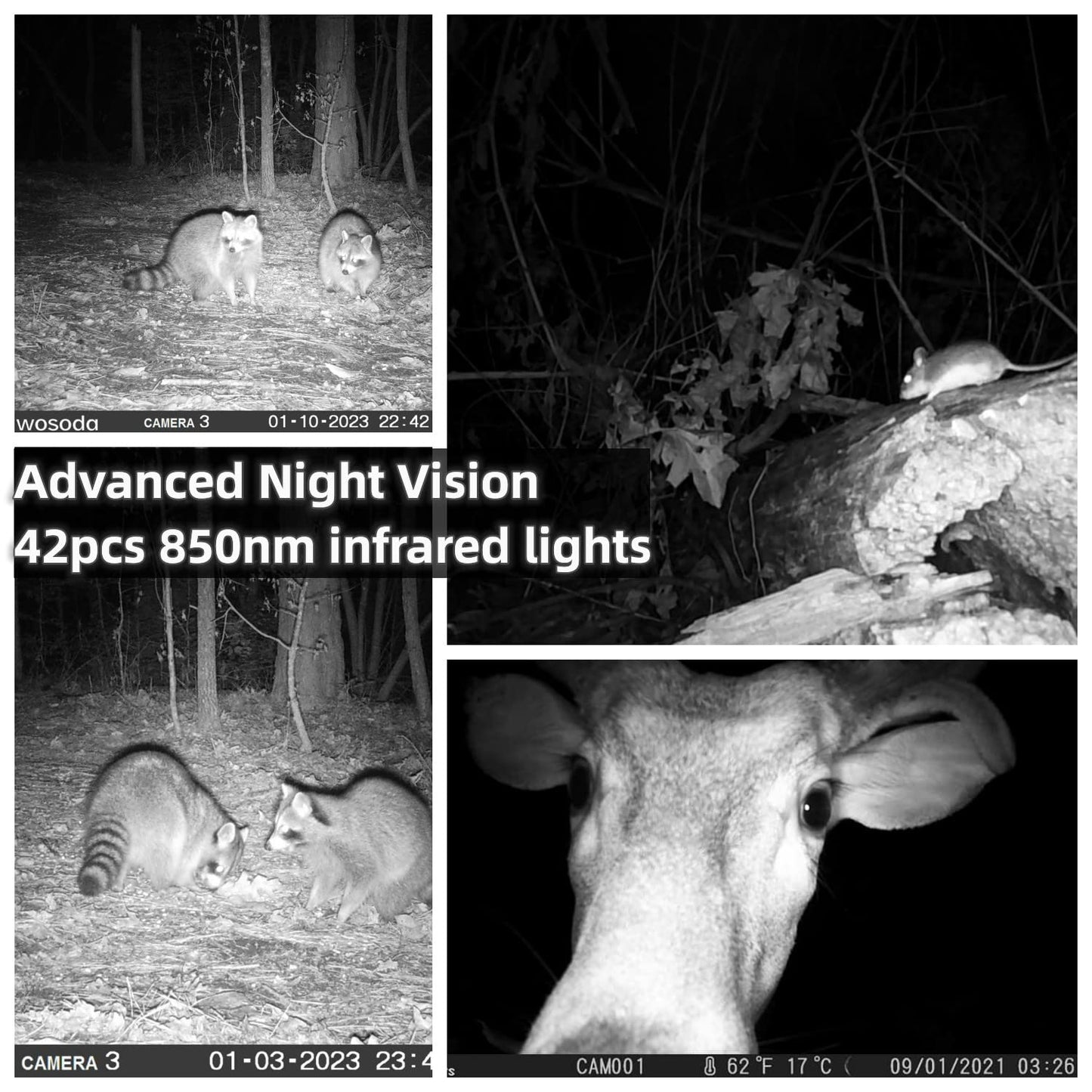 WOSODA 2 Pack Trail Cameras with Night Vision Motion Activated Waterproof,30MP Hunting Game Camera,1080P HD Trail Cam with SD Card for Wildlife Monitoring,Outdoor Scouting & Security