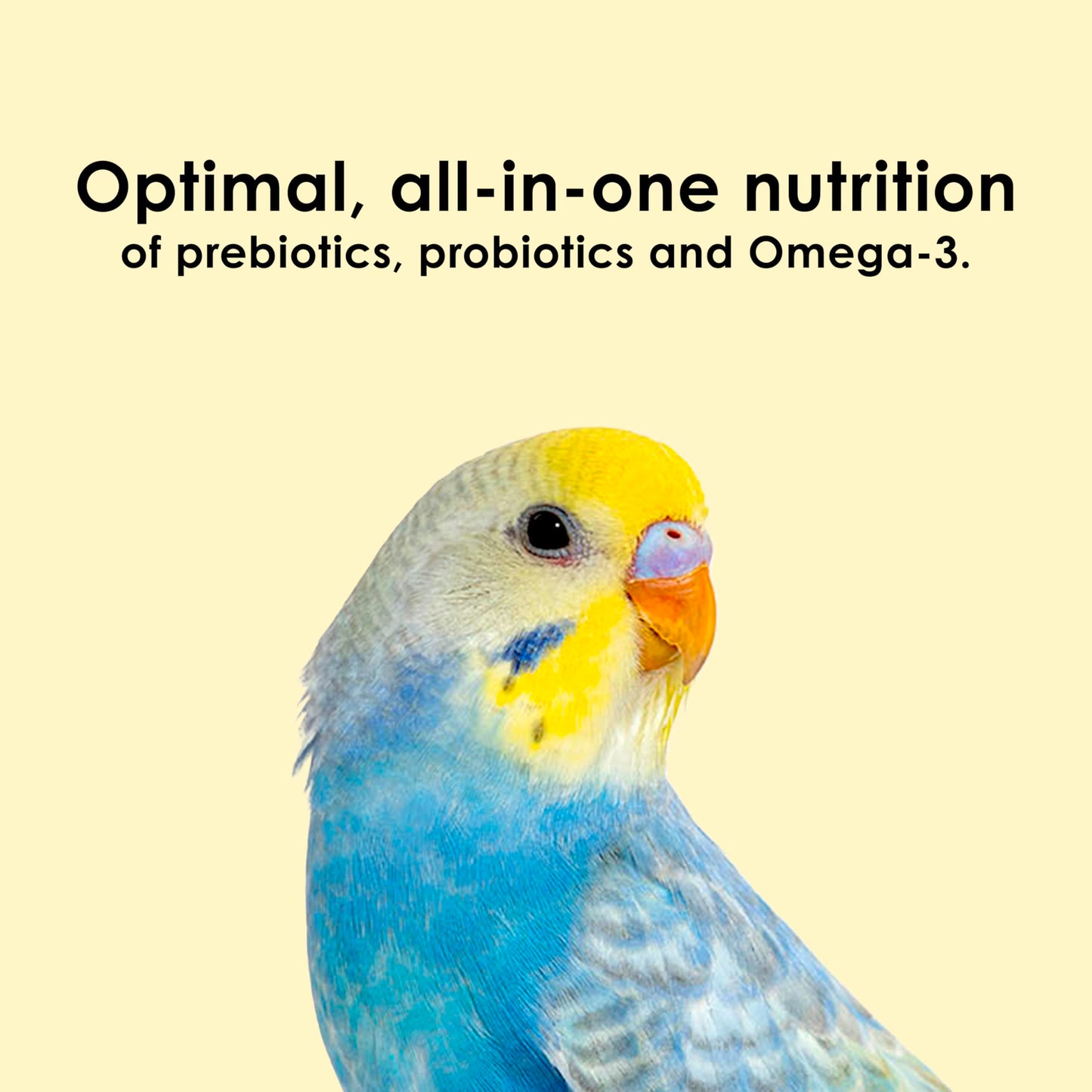 Kaytee Nutri Soft Pet Parrot & Conure Bird Food, 3 Pound