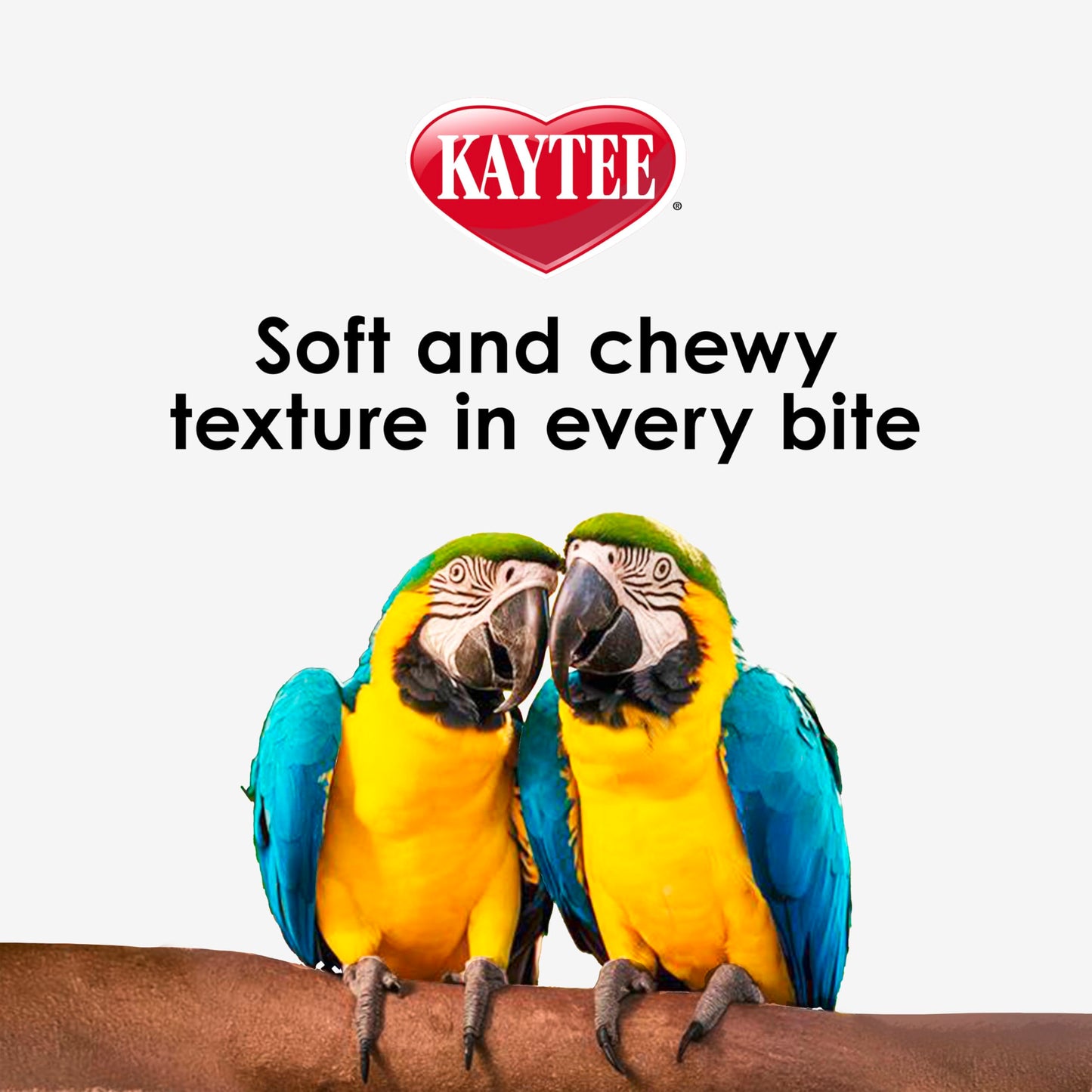 Kaytee Nutri Soft Pet Parrot & Conure Bird Food, 3 Pound