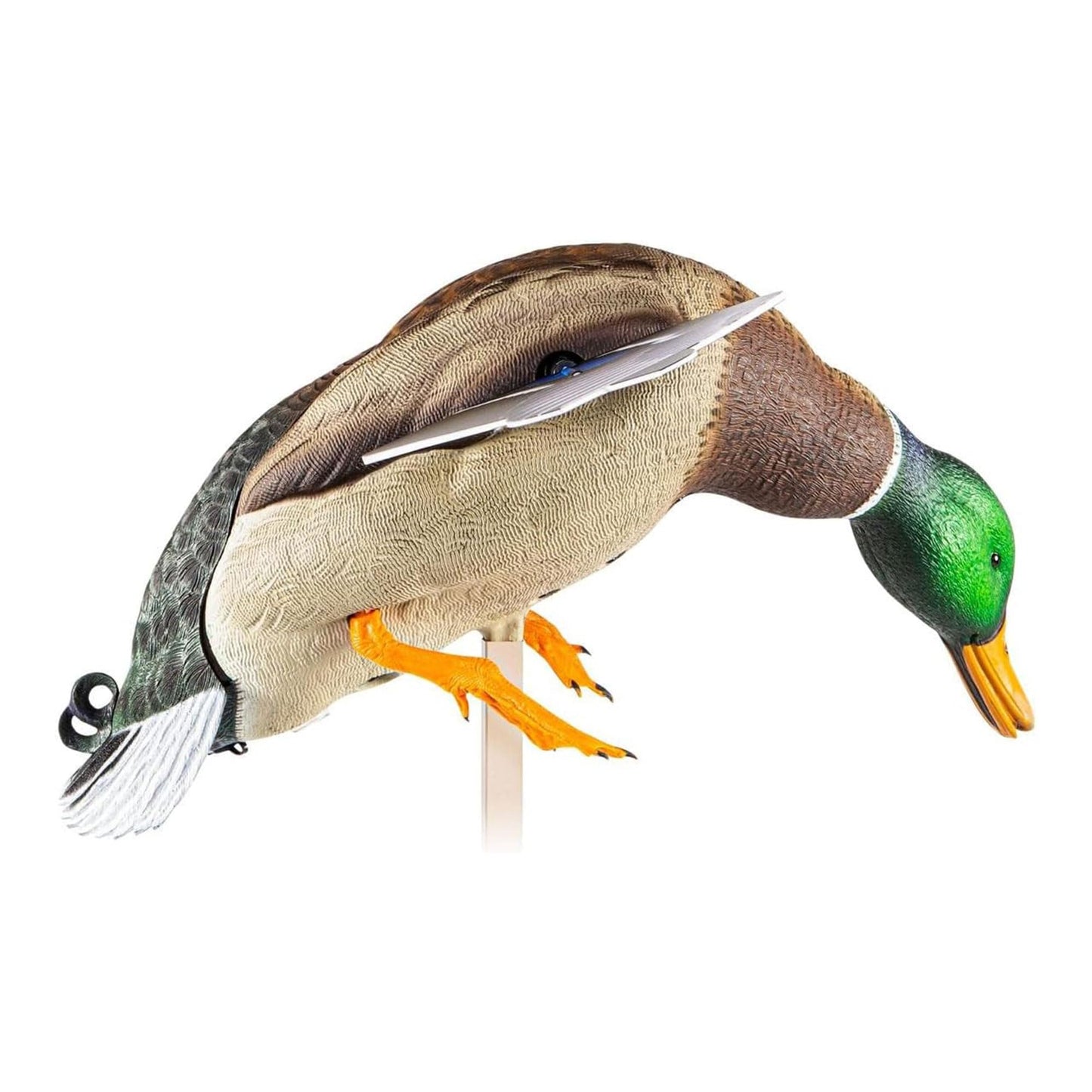 Avian X Powerflight Smart Motion Mallard Spinning Wing Realistic Design Duck Decoy, Ideal for Outdoor Hunting Adventures