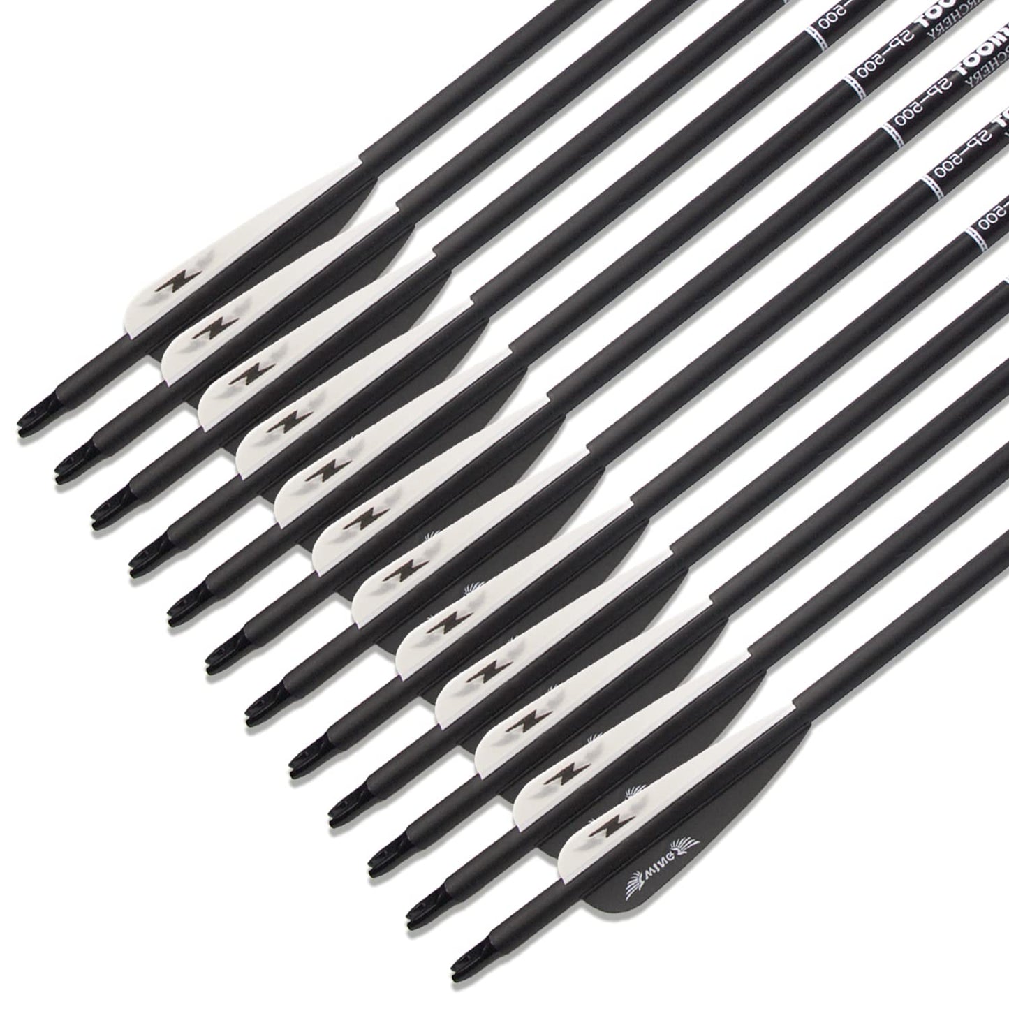 31inch Carbon Arrow Archery Targeting Practice Hunting Arrows for Compound & Recurve Bow with Removable Tips(Pack of 12)