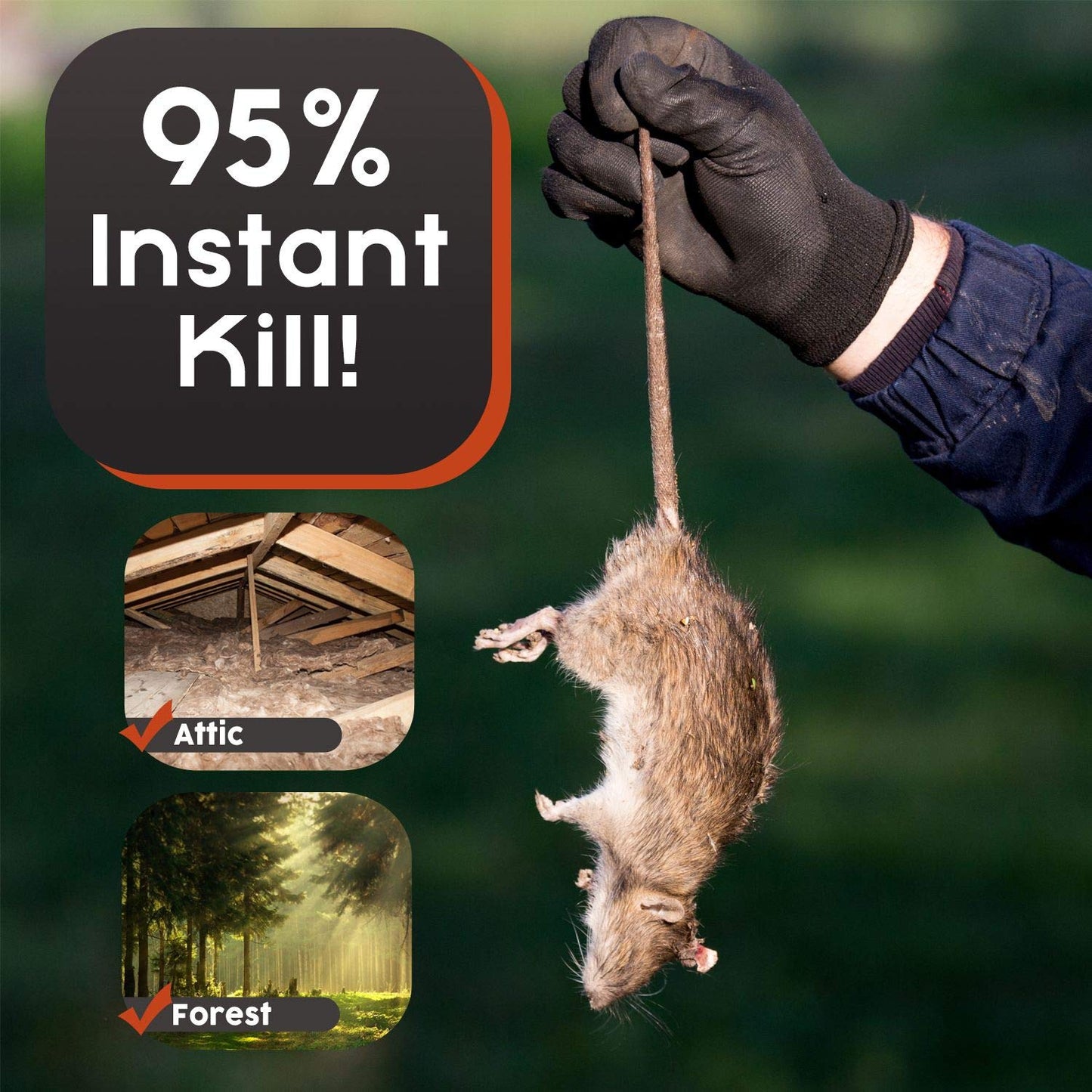 Big Squirrel Trap Indoor Outdoor – Medium Rodent Trap – Ouell Traps – Black and Grey Squirrels – QAI Quell – Most Powerful Trap