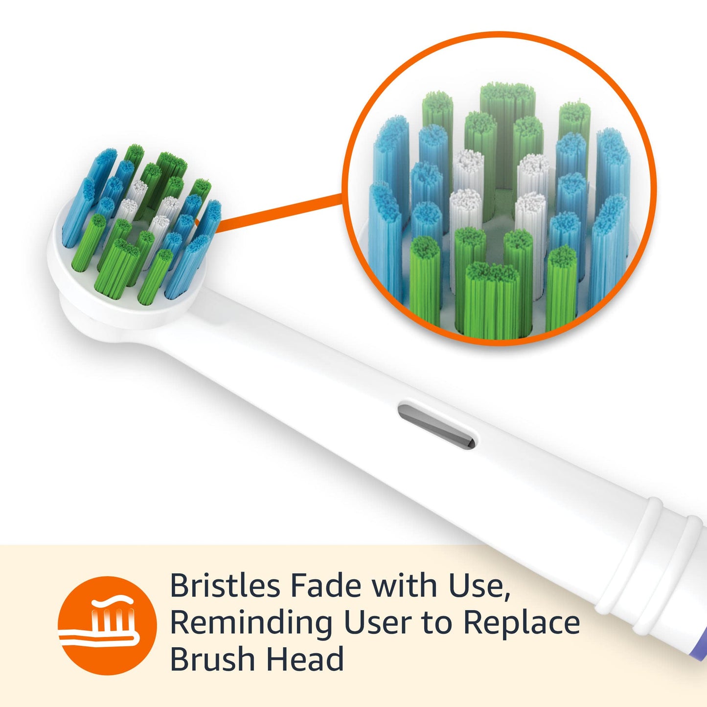 Amazon Basics Electric Toothbrush Replacement Heads, Action Clean, Compatible with Most Oral-B Brushes, White, 5 Count (Previously Solimo)
