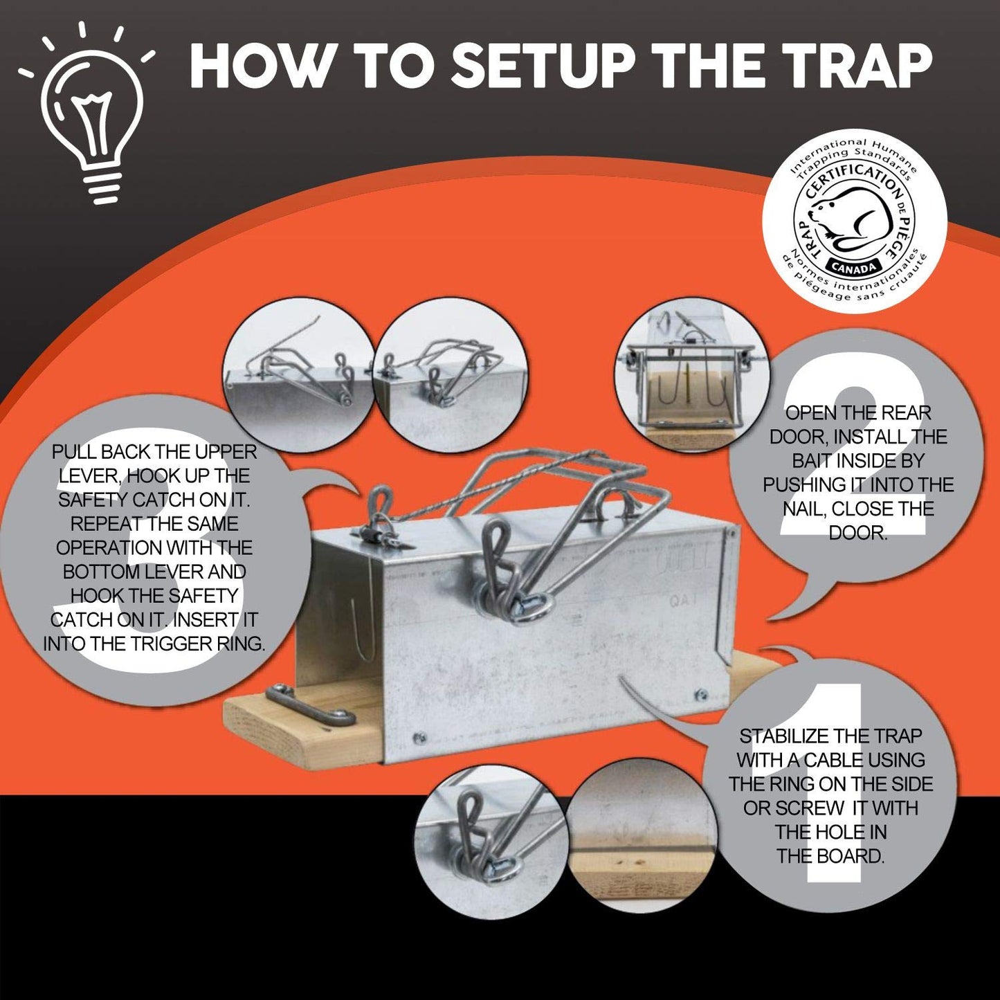 Big Squirrel Trap Indoor Outdoor – Medium Rodent Trap – Ouell Traps – Black and Grey Squirrels – QAI Quell – Most Powerful Trap