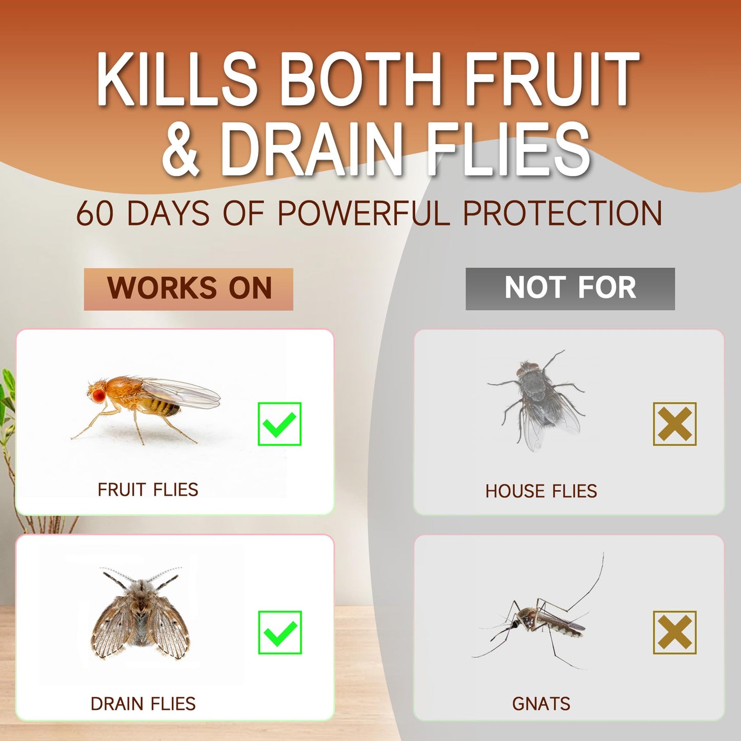 Fruit Fly Traps for Indoors Killer: Fruit Fly and Drain Fly Killer Indoor - Reusable Escape-Proof Trap and Powerful Fruit-Based Bait (2 X 60ml Refills) Safe for Pets & People -Lasts 60 Days