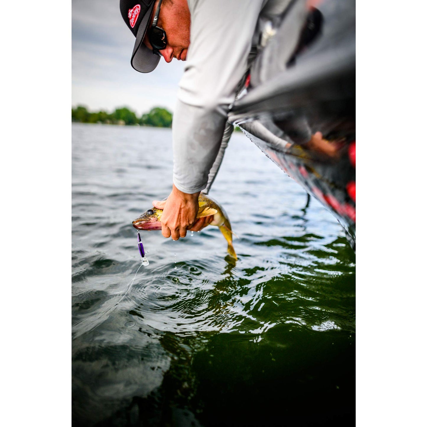 Berkley Flicker Shad Jointed Crankbait, 2 Pack, Red Tiger, 1/3 oz, 2 3/4in, 7'-9' Dive Depth